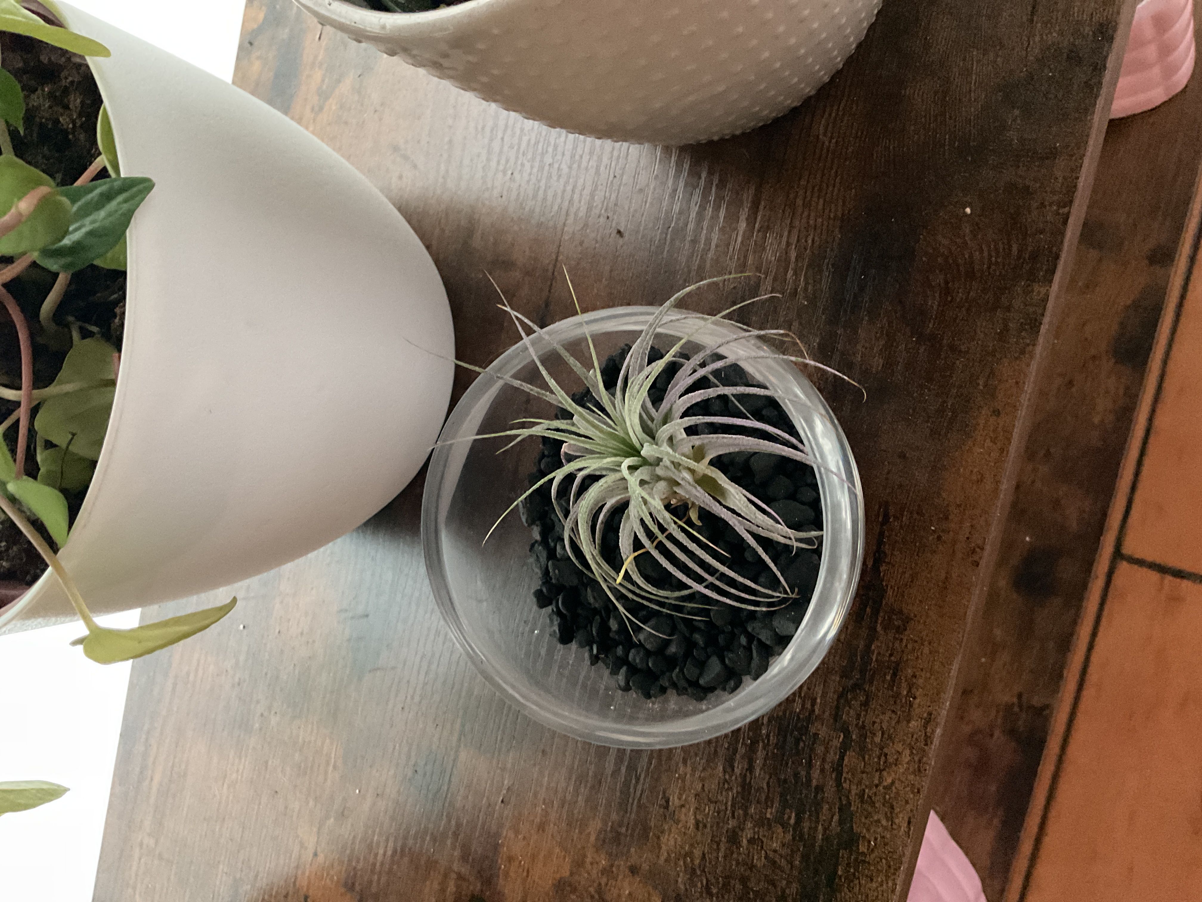 Photo from the post