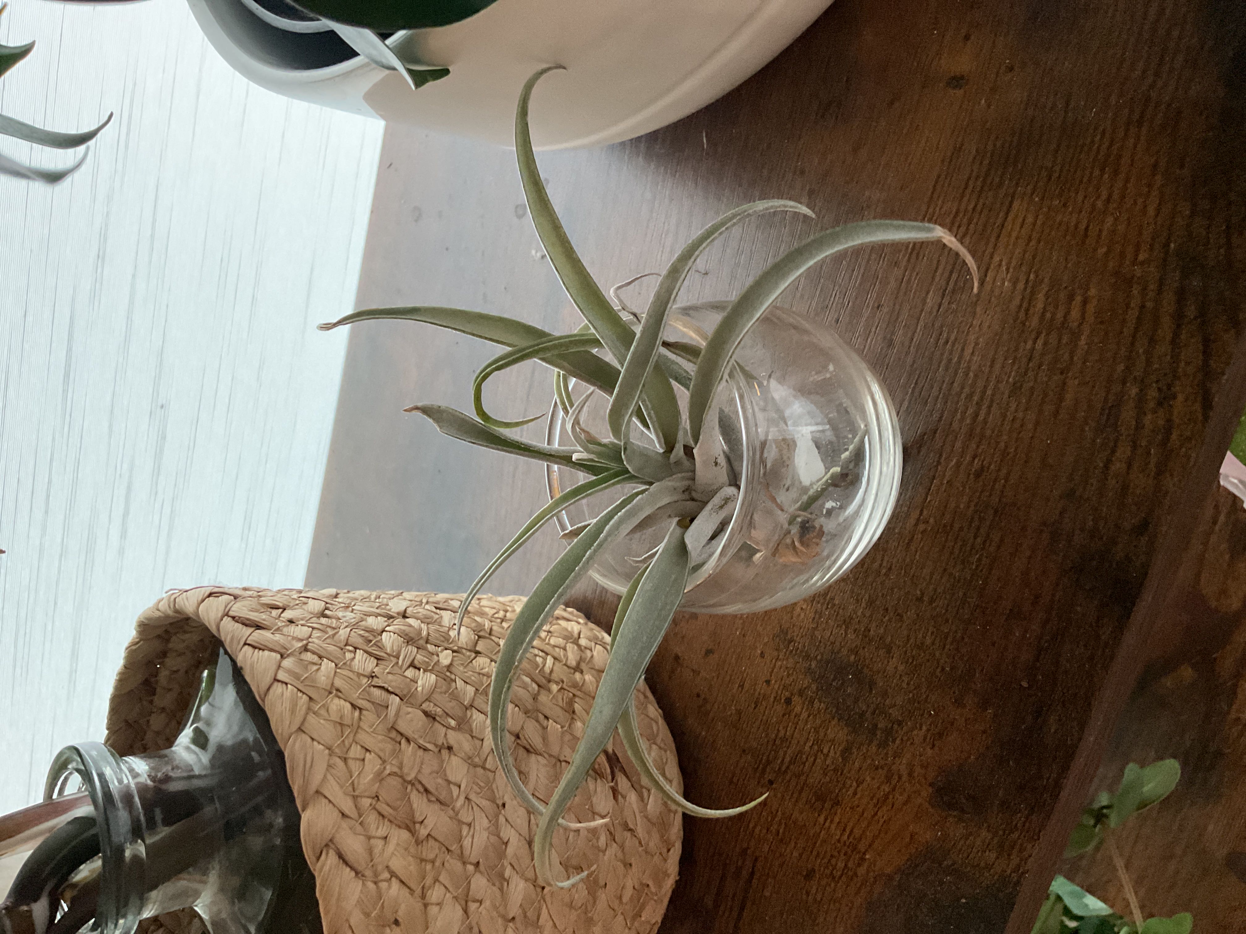 Photo from the post