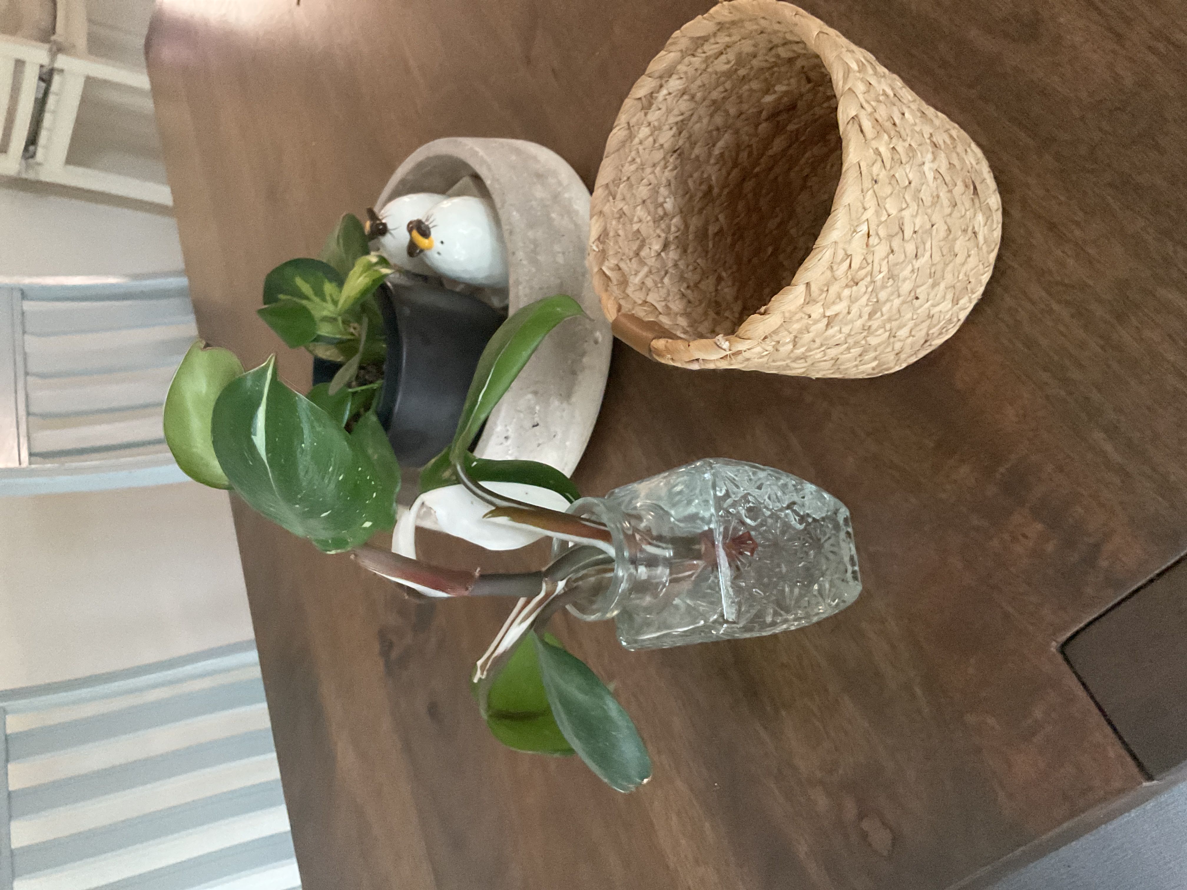 Photo from the post