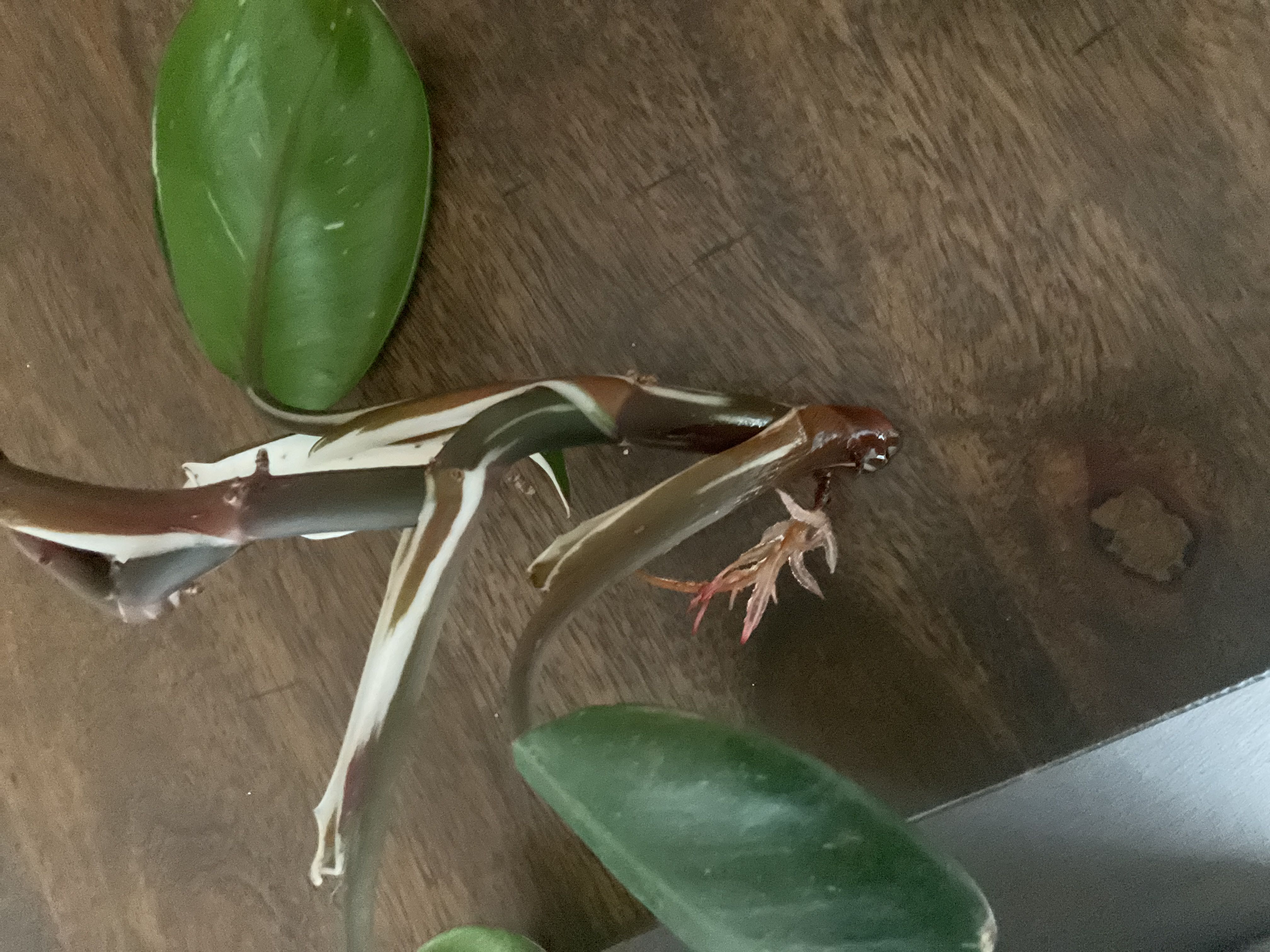 Photo from the post