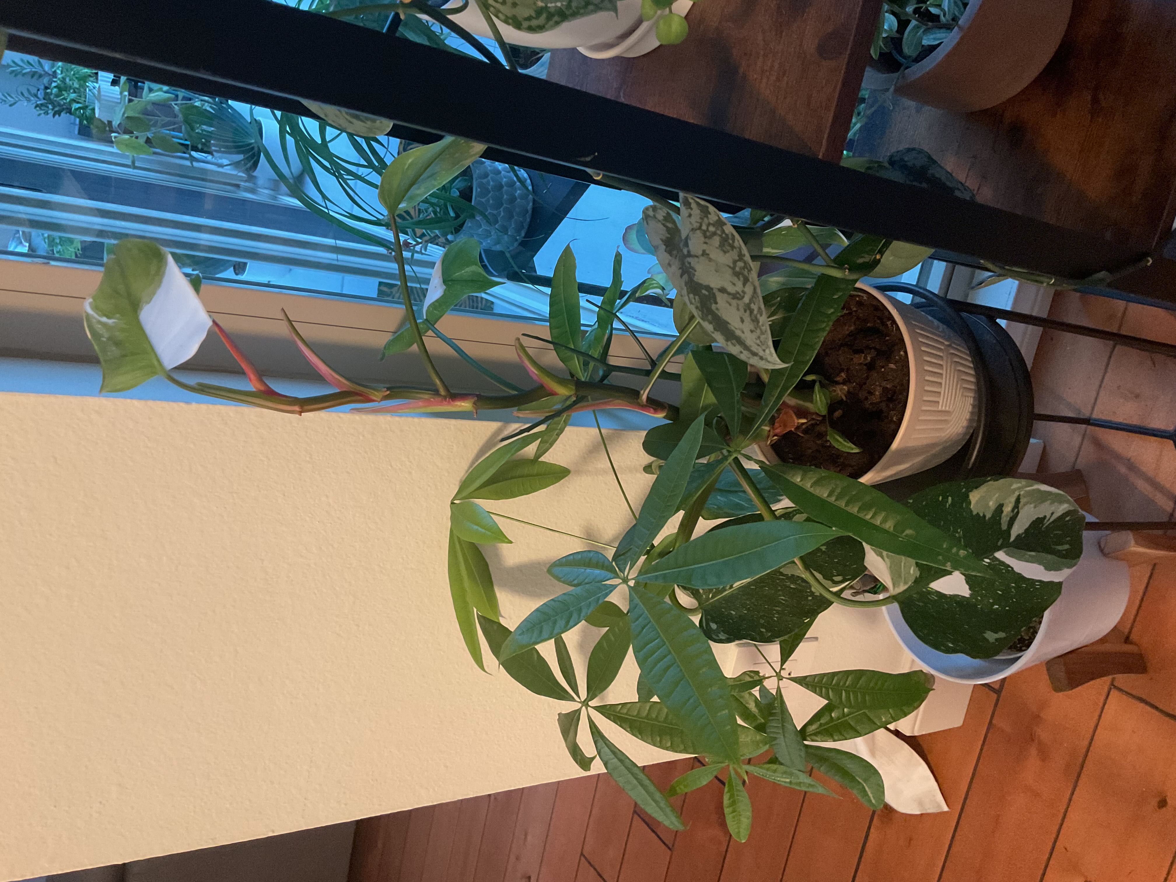 Photo from the post