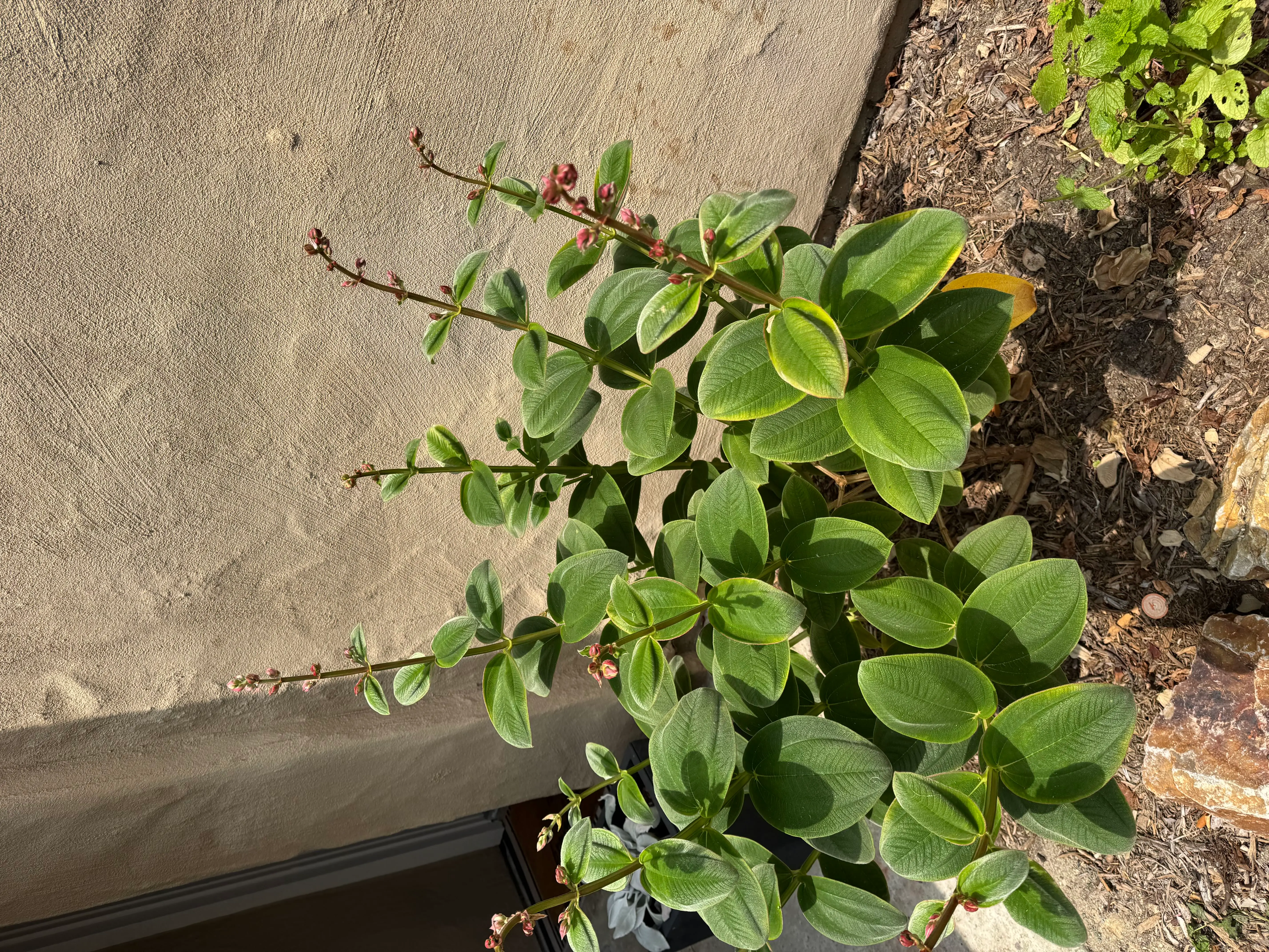 Photo from the post