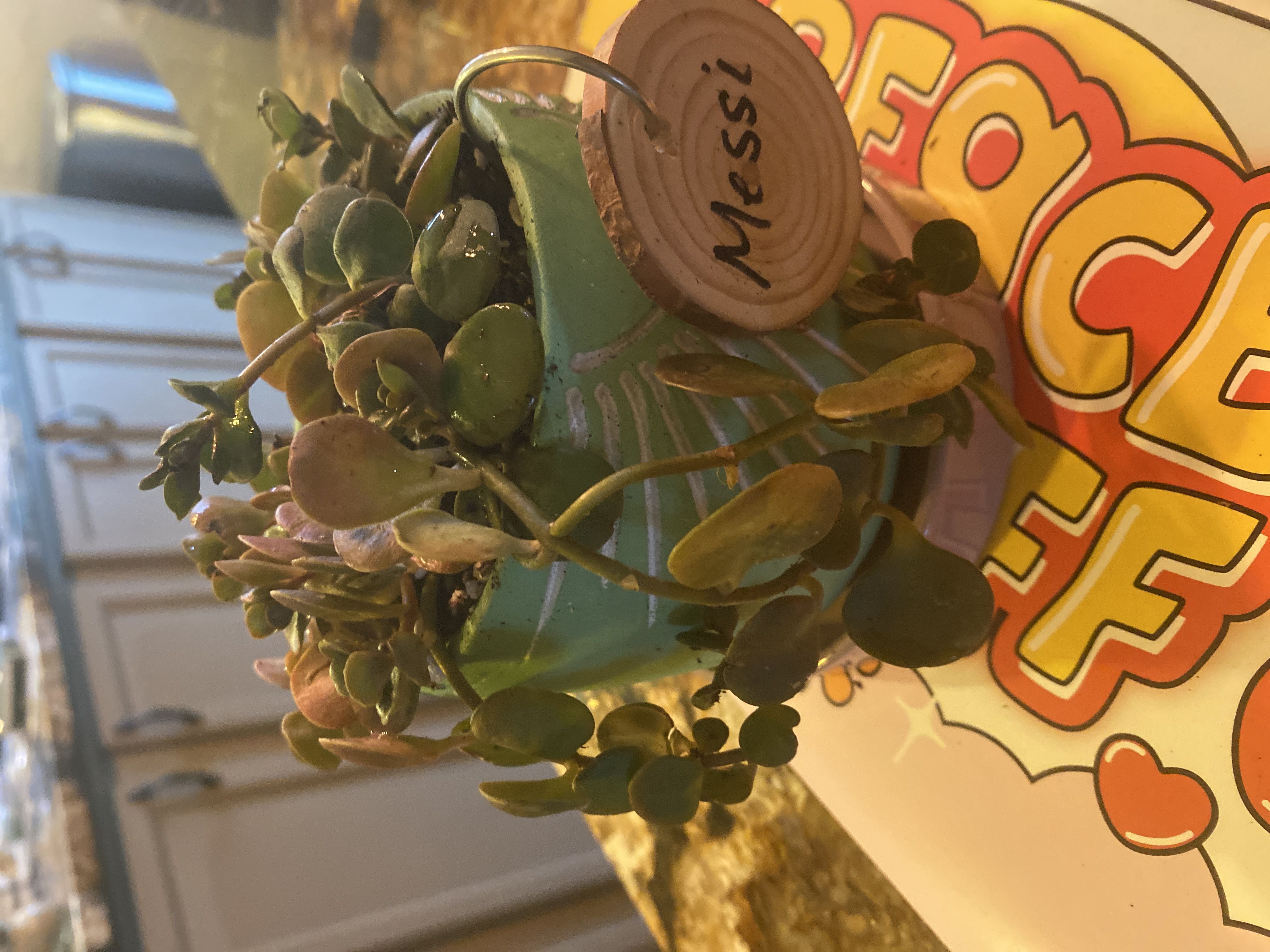 Photo from the post
