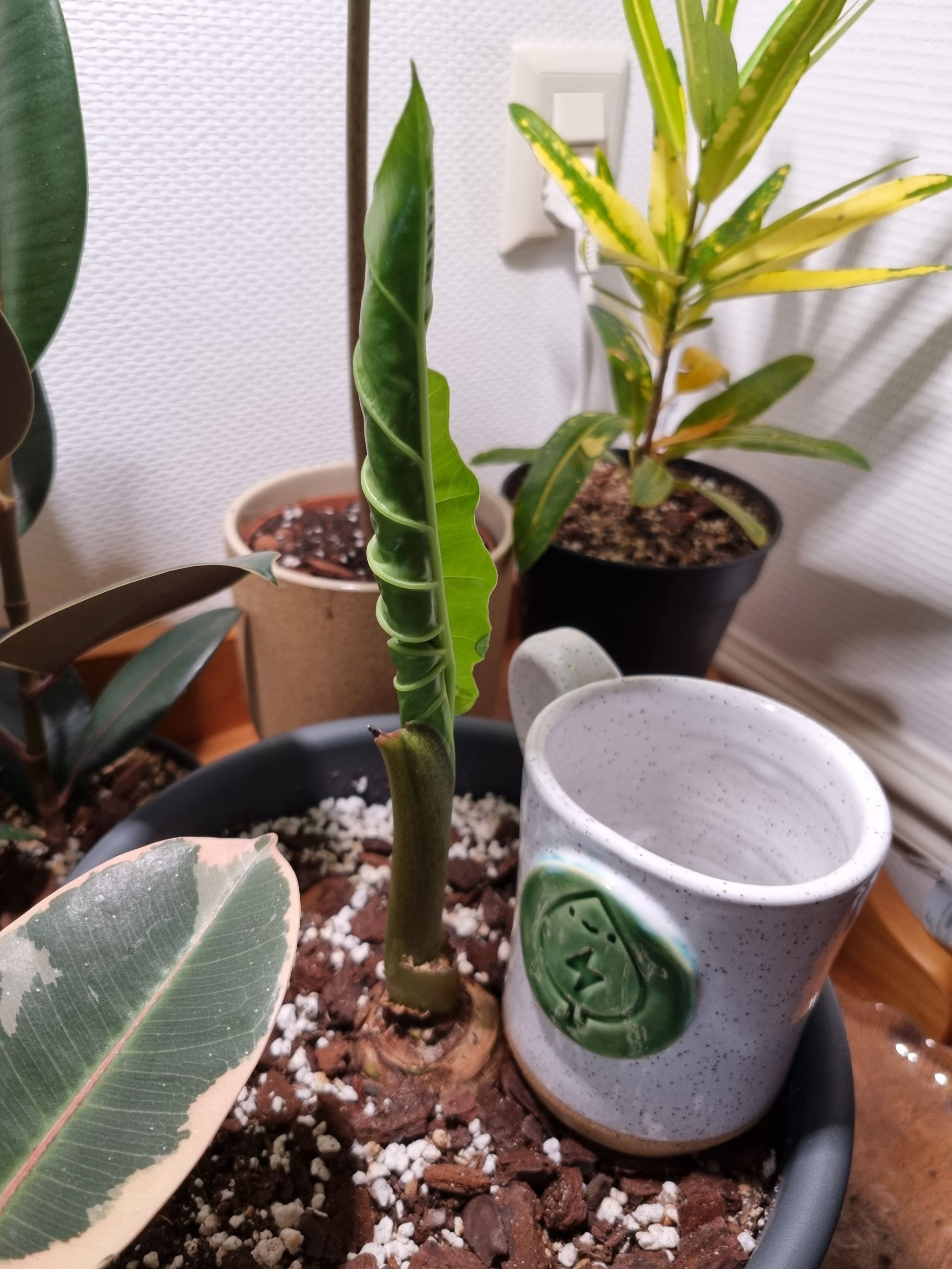 Photo from the post