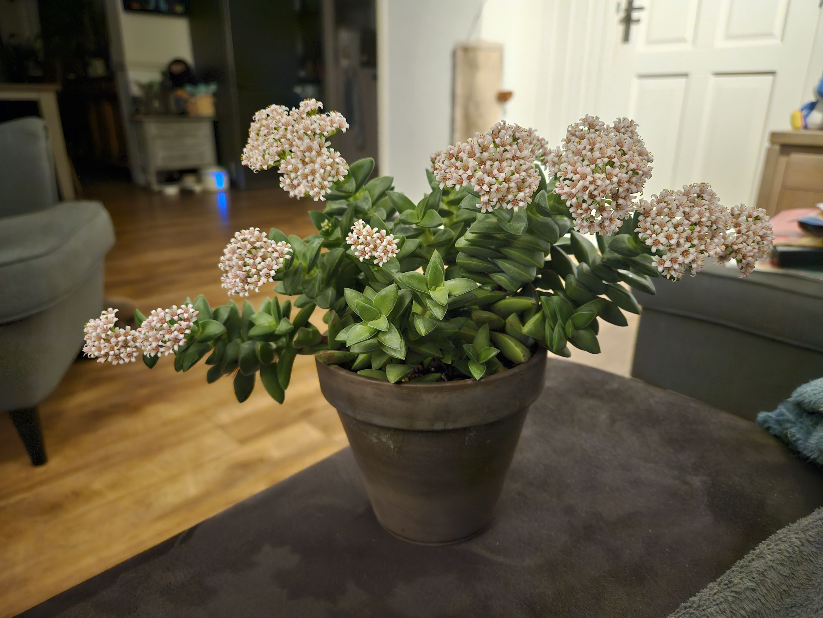 Photo from the post