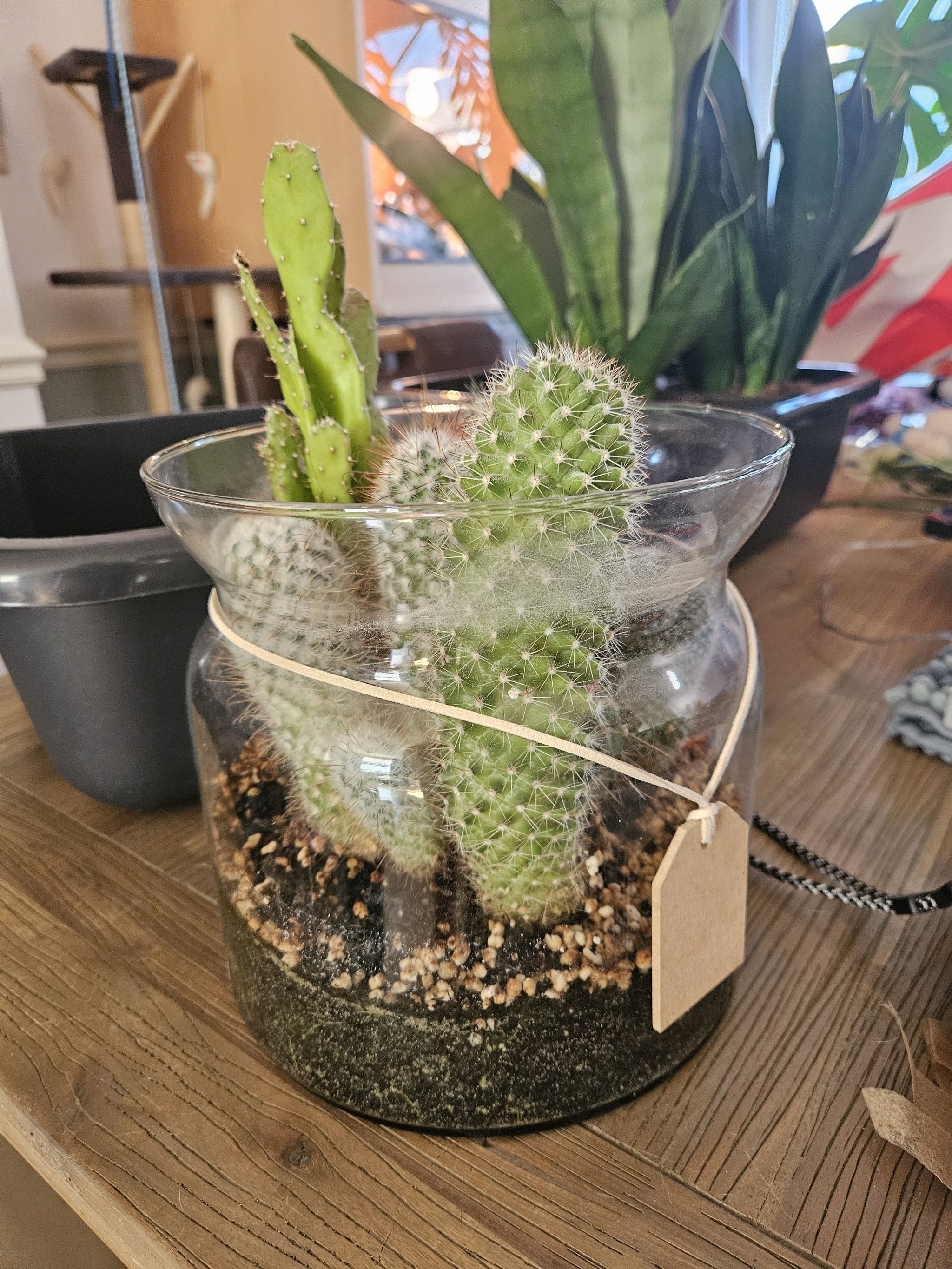 Photo from the post