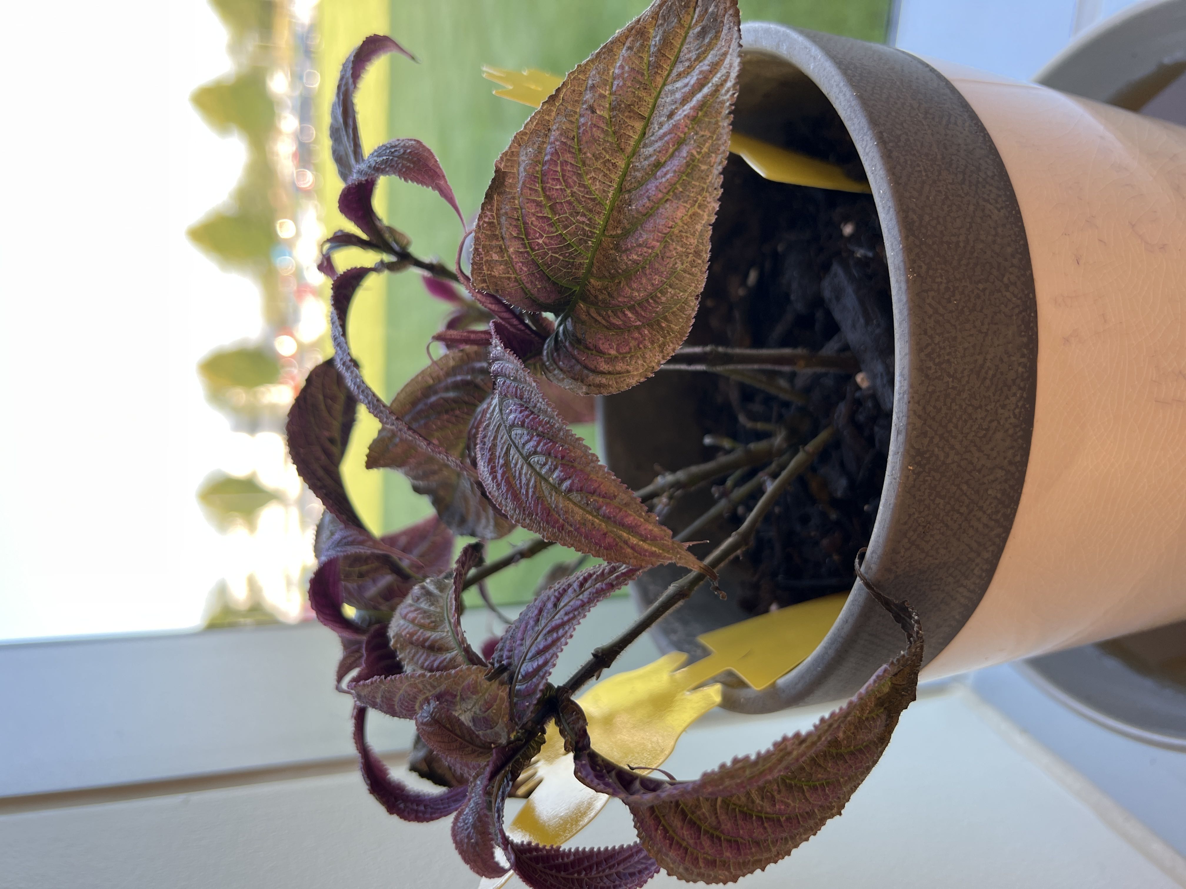 Photo from the post