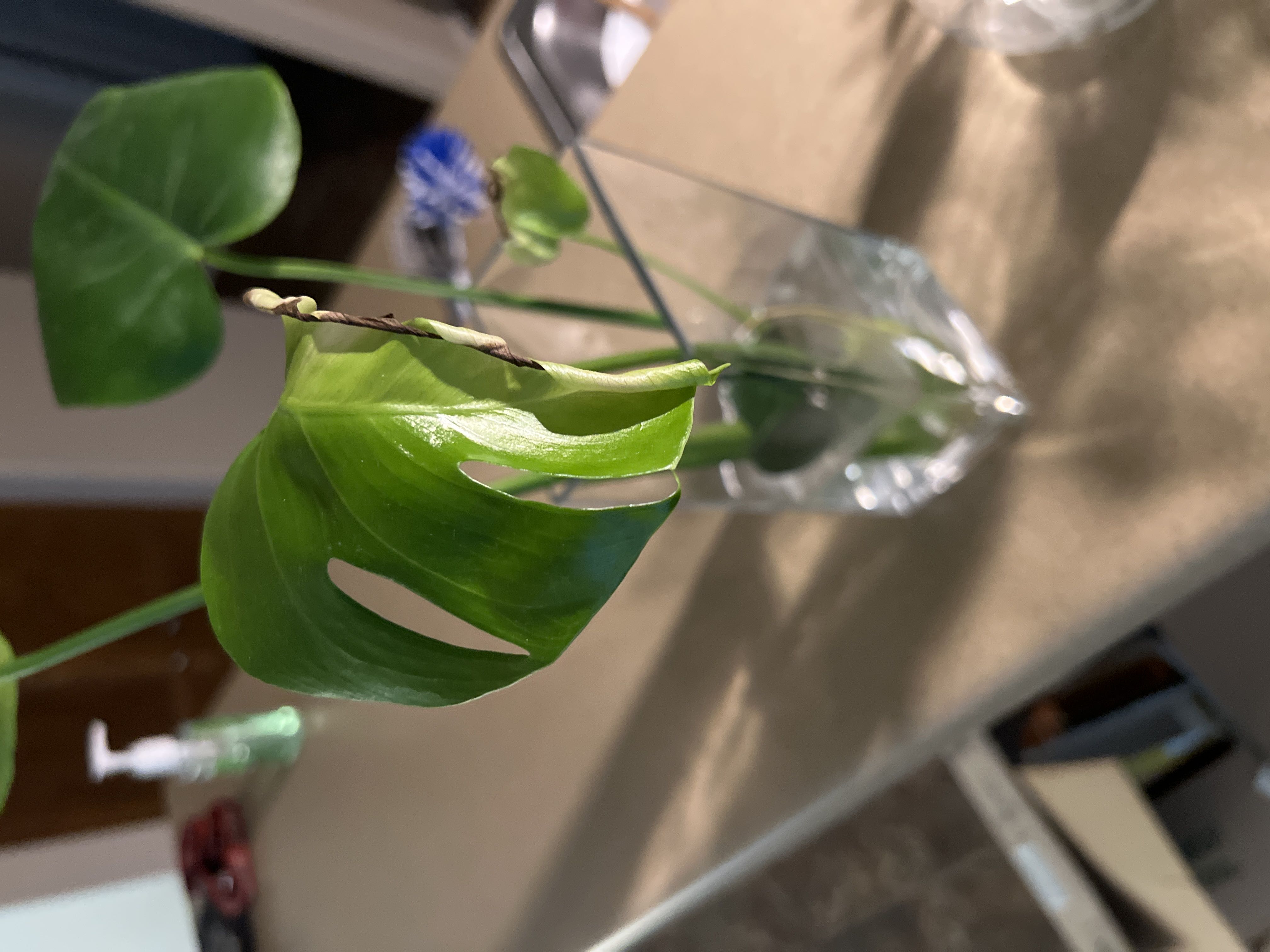 Photo from the post