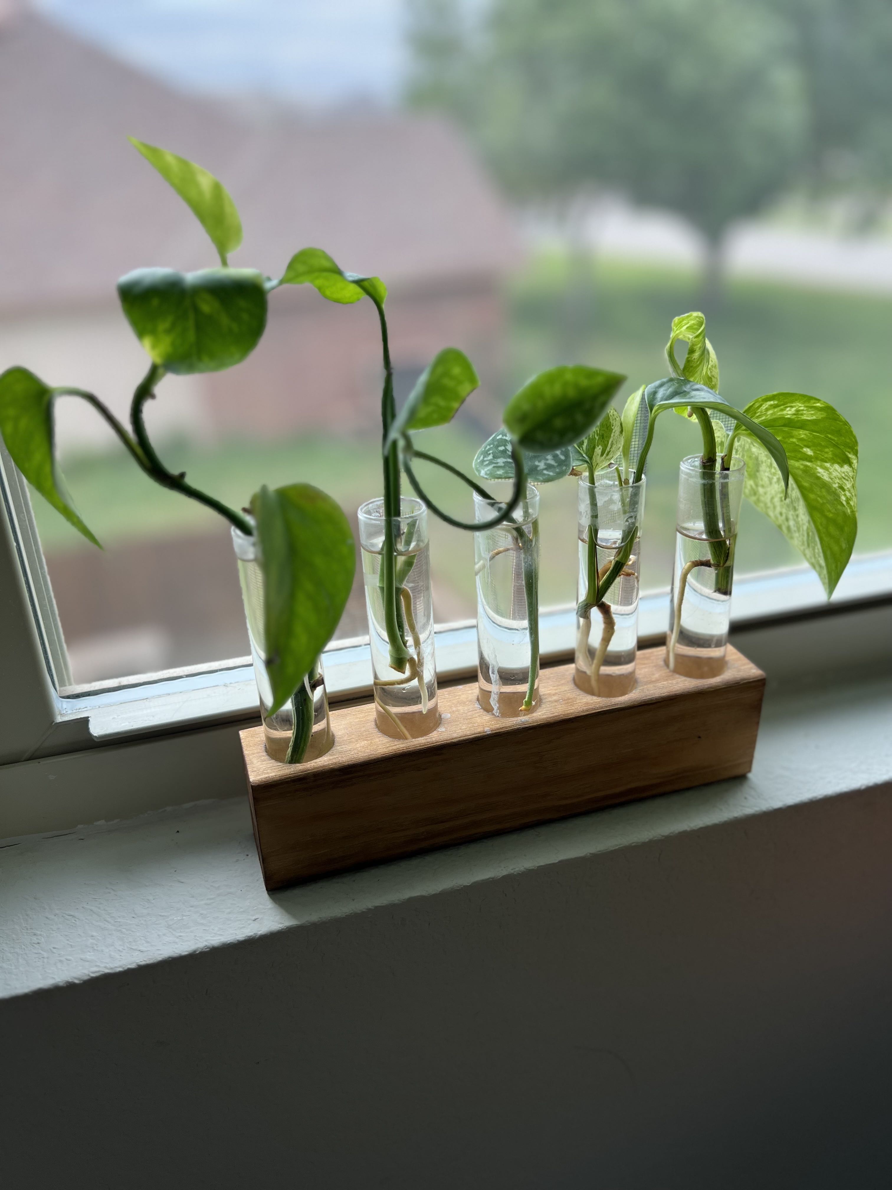 Photo from the post