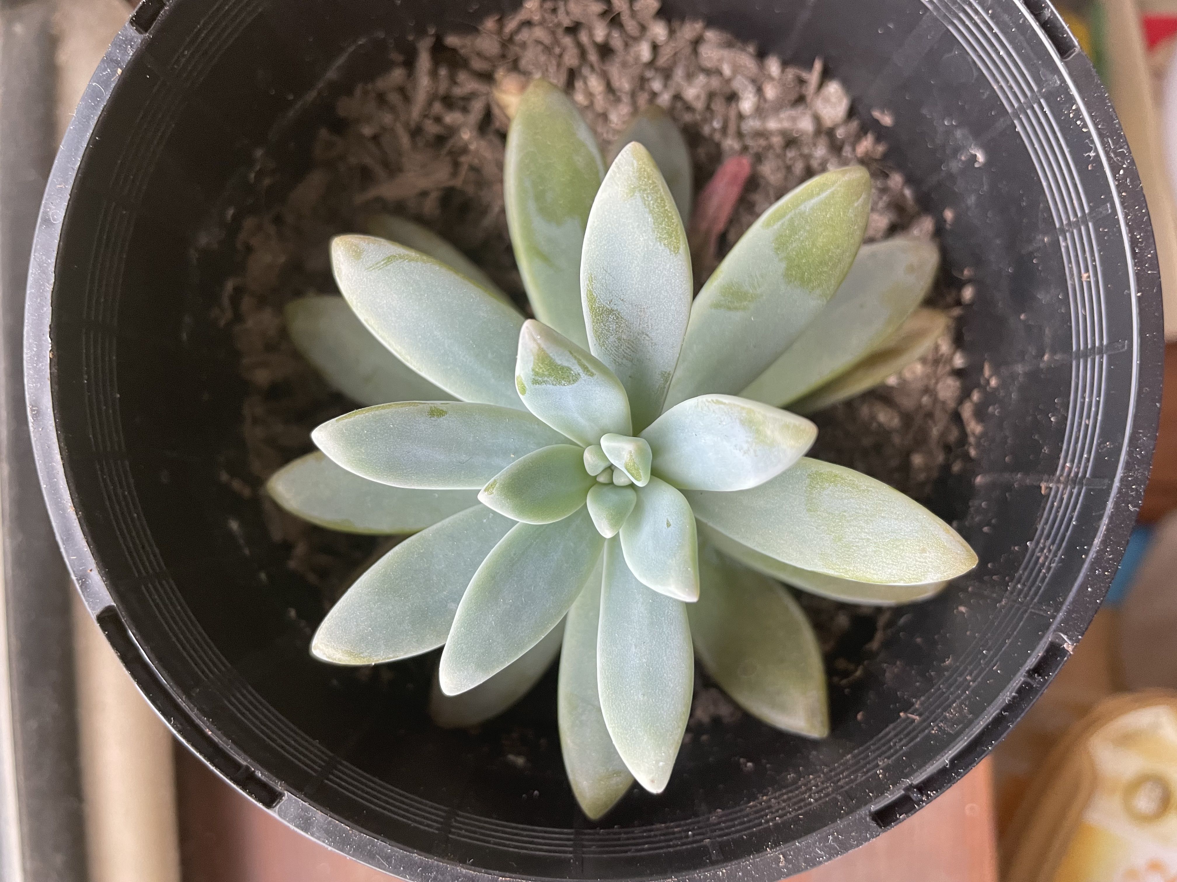 Photo from the post