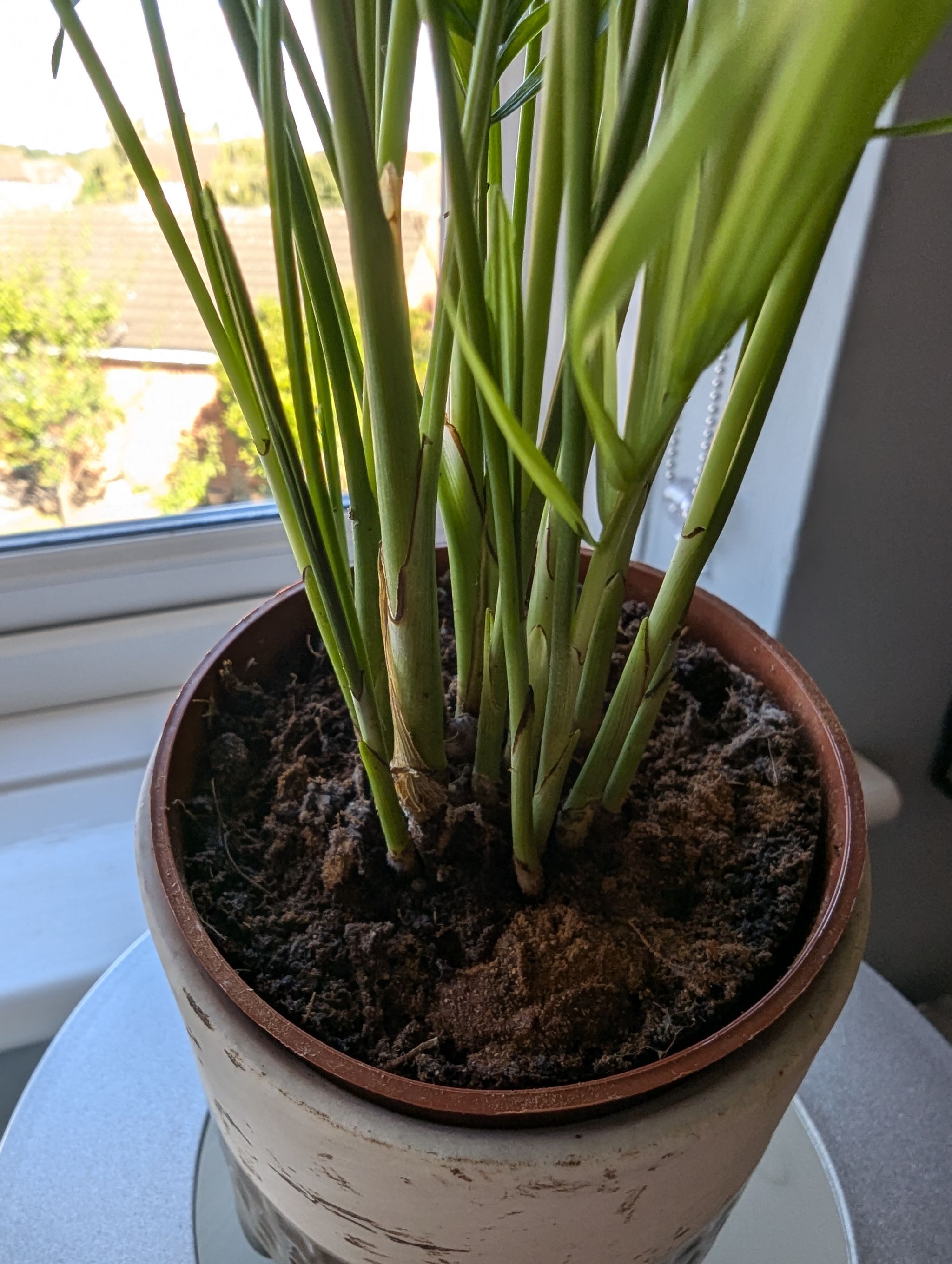 Photo from the post