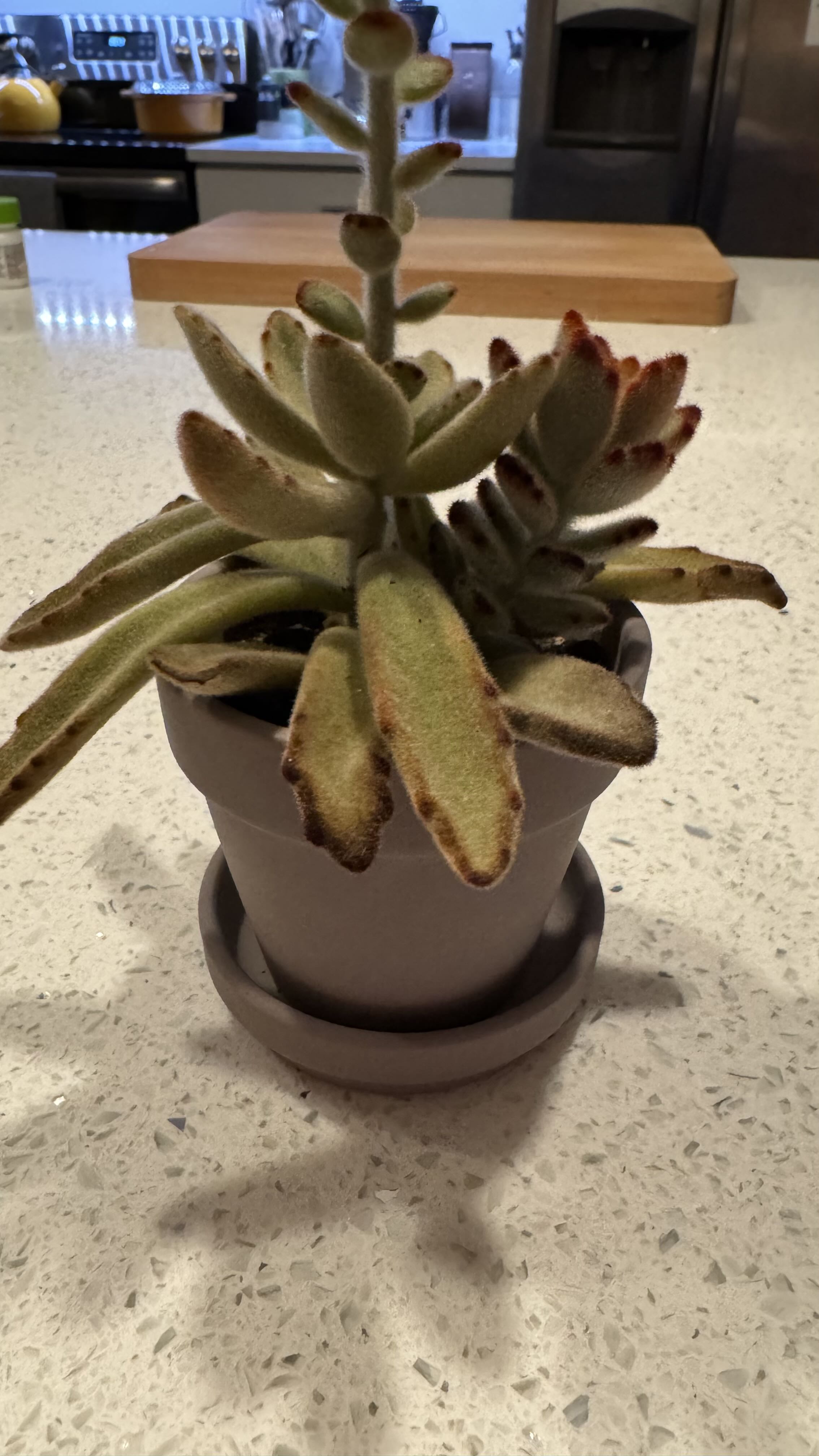 Photo from the post