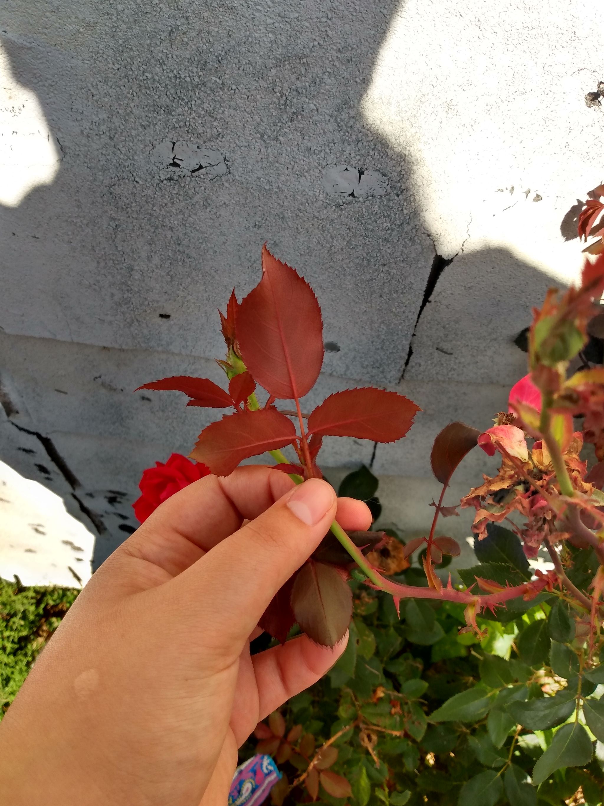 Photo from the post