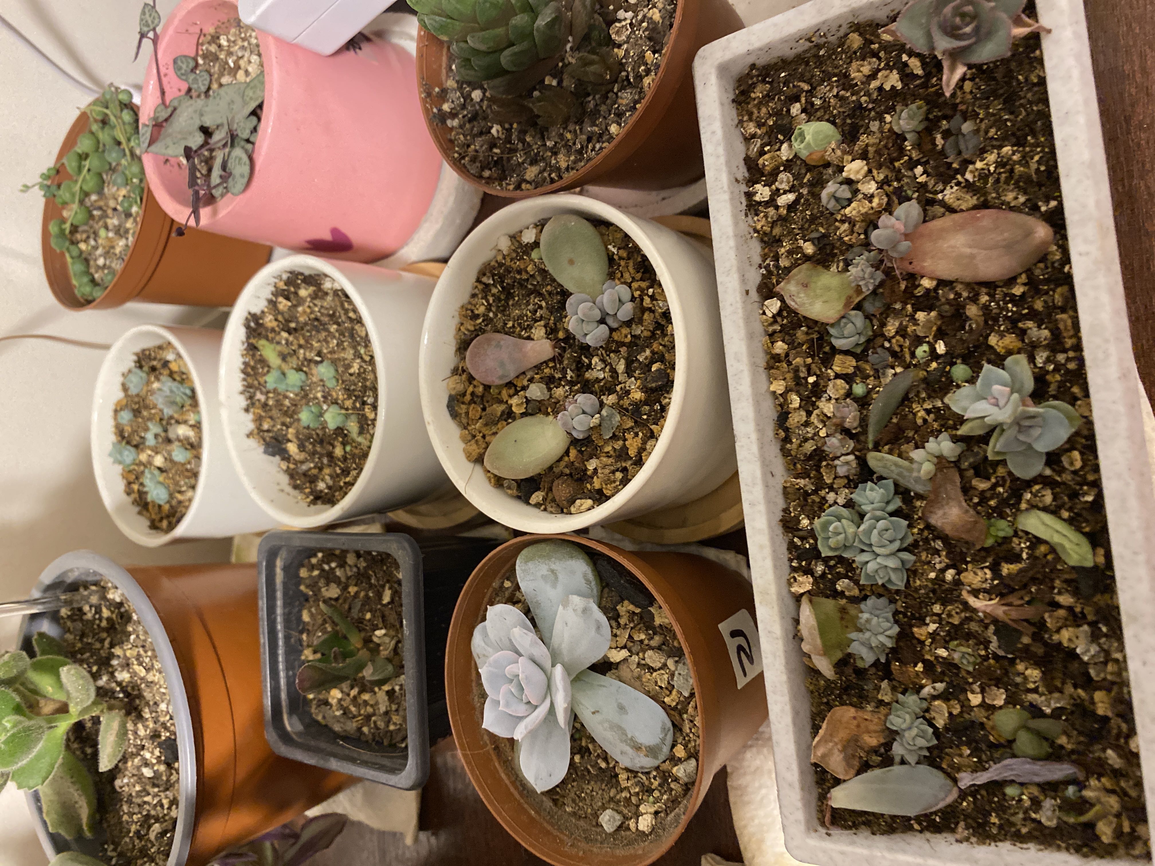 Photo from the post