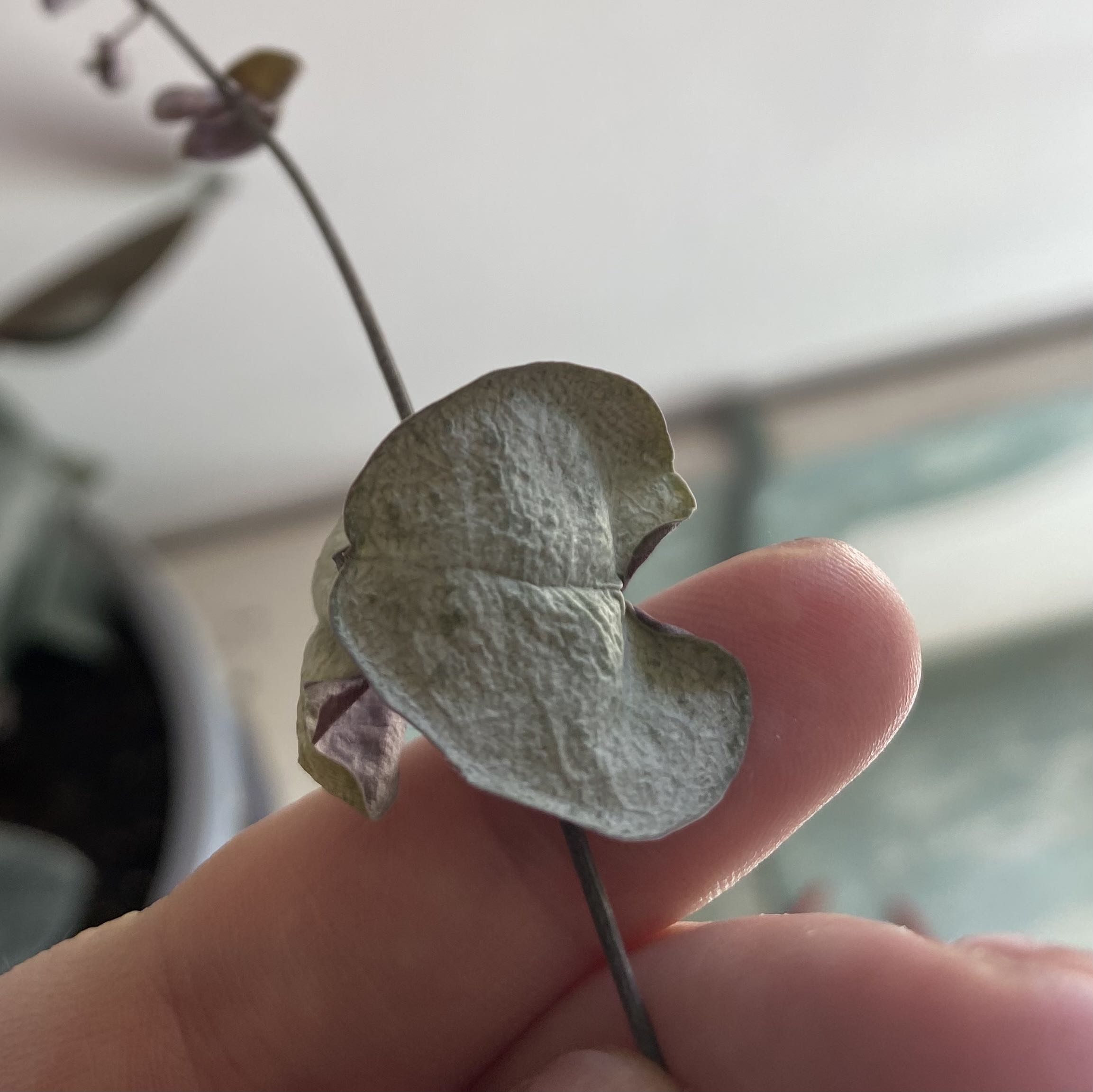 Photo from the post