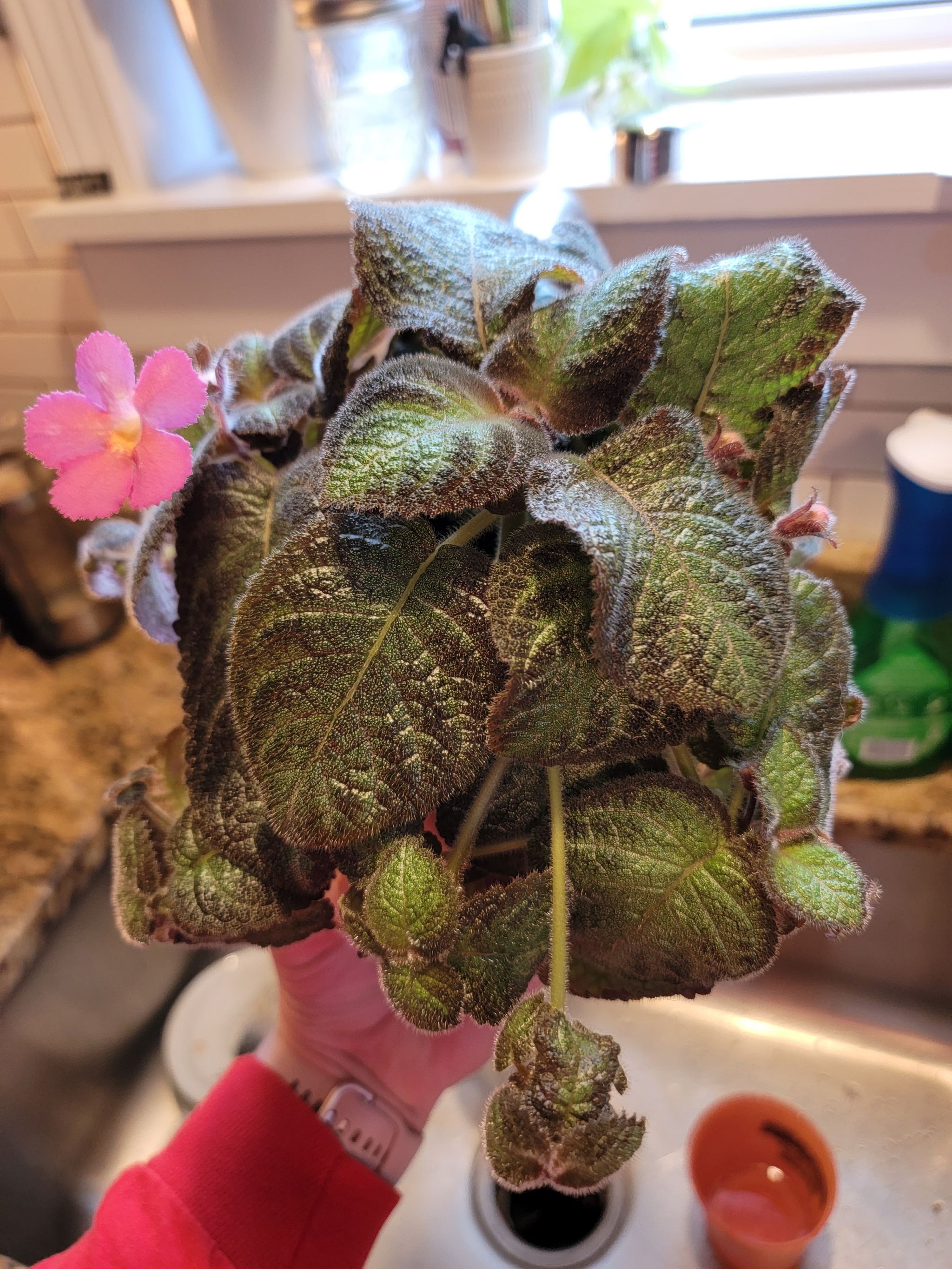 Photo from the post