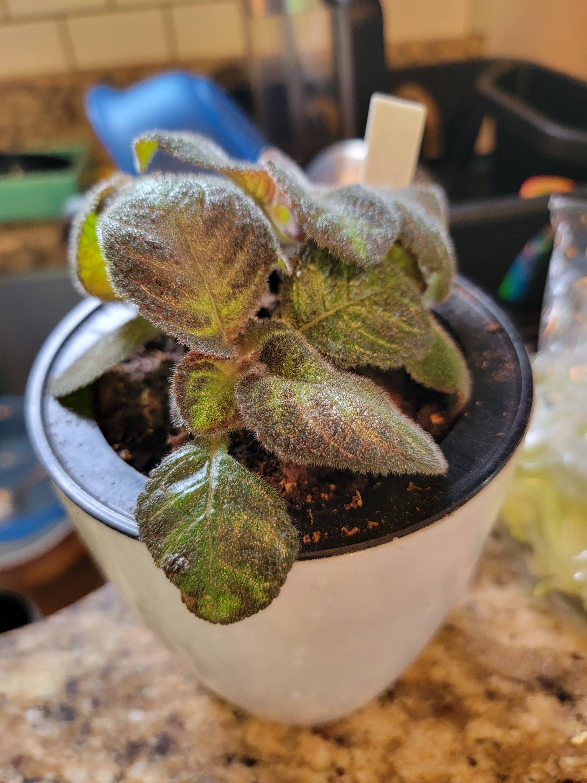 Photo from the post