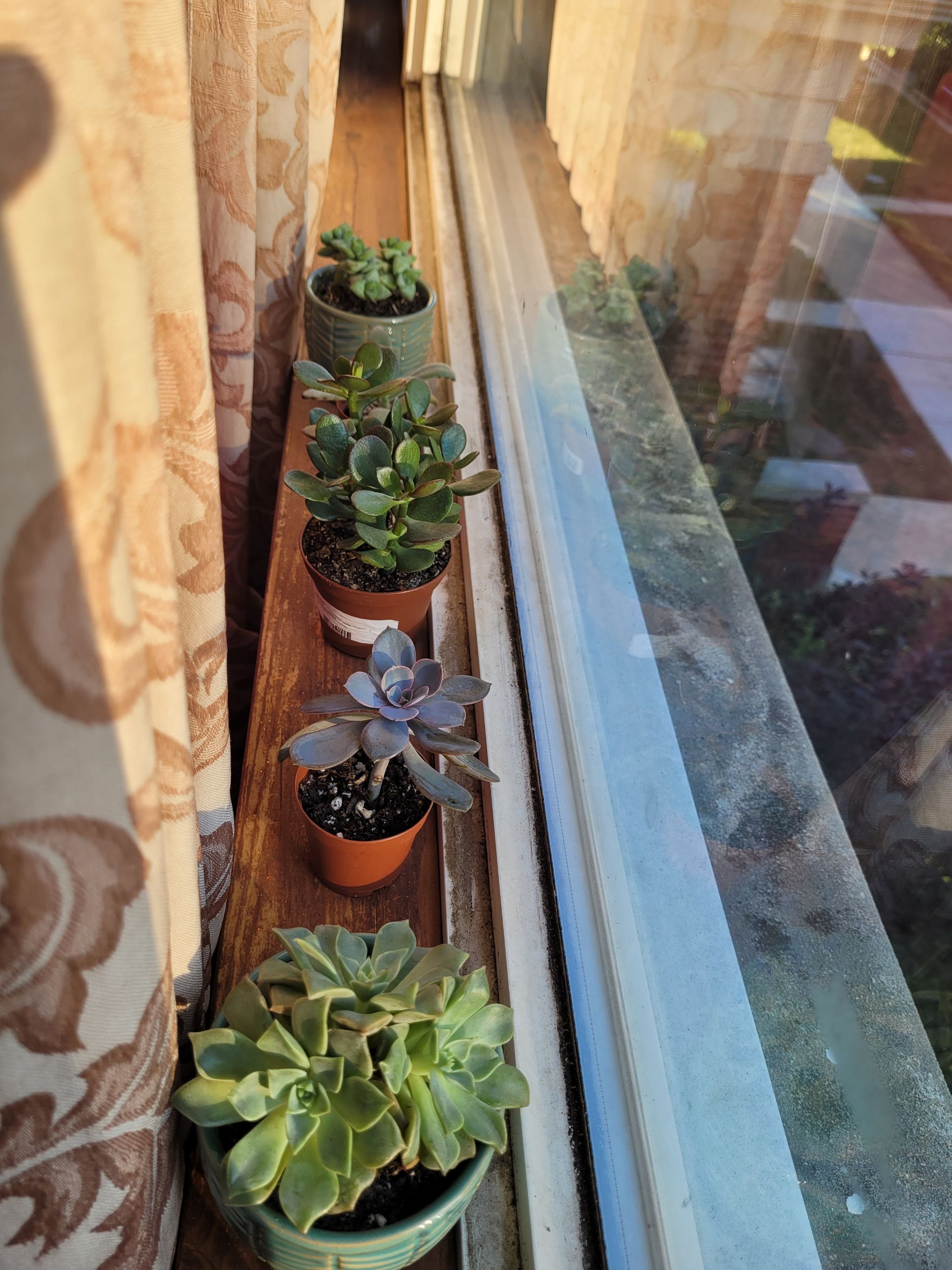 Photo from the post
