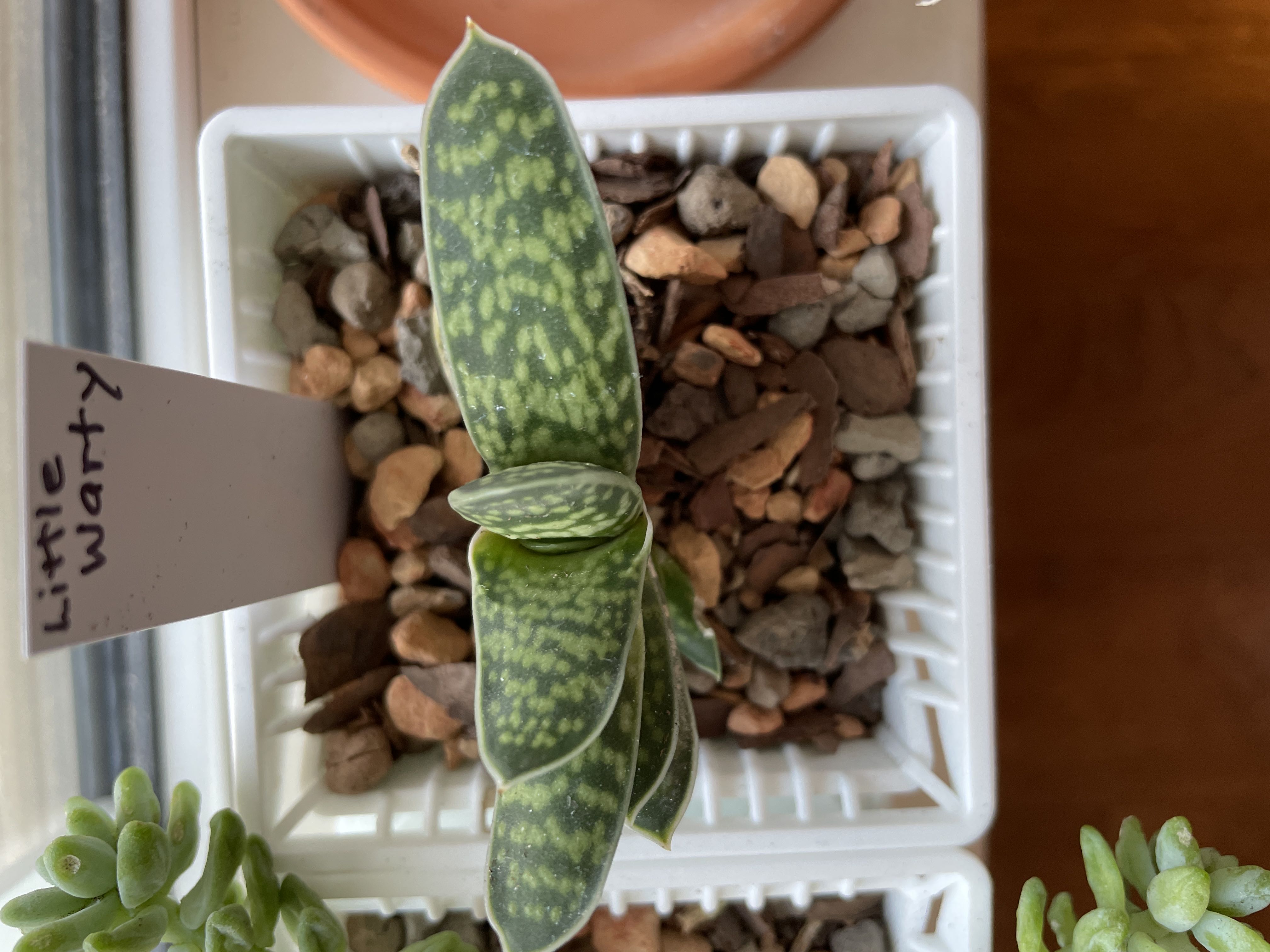 Photo from the post