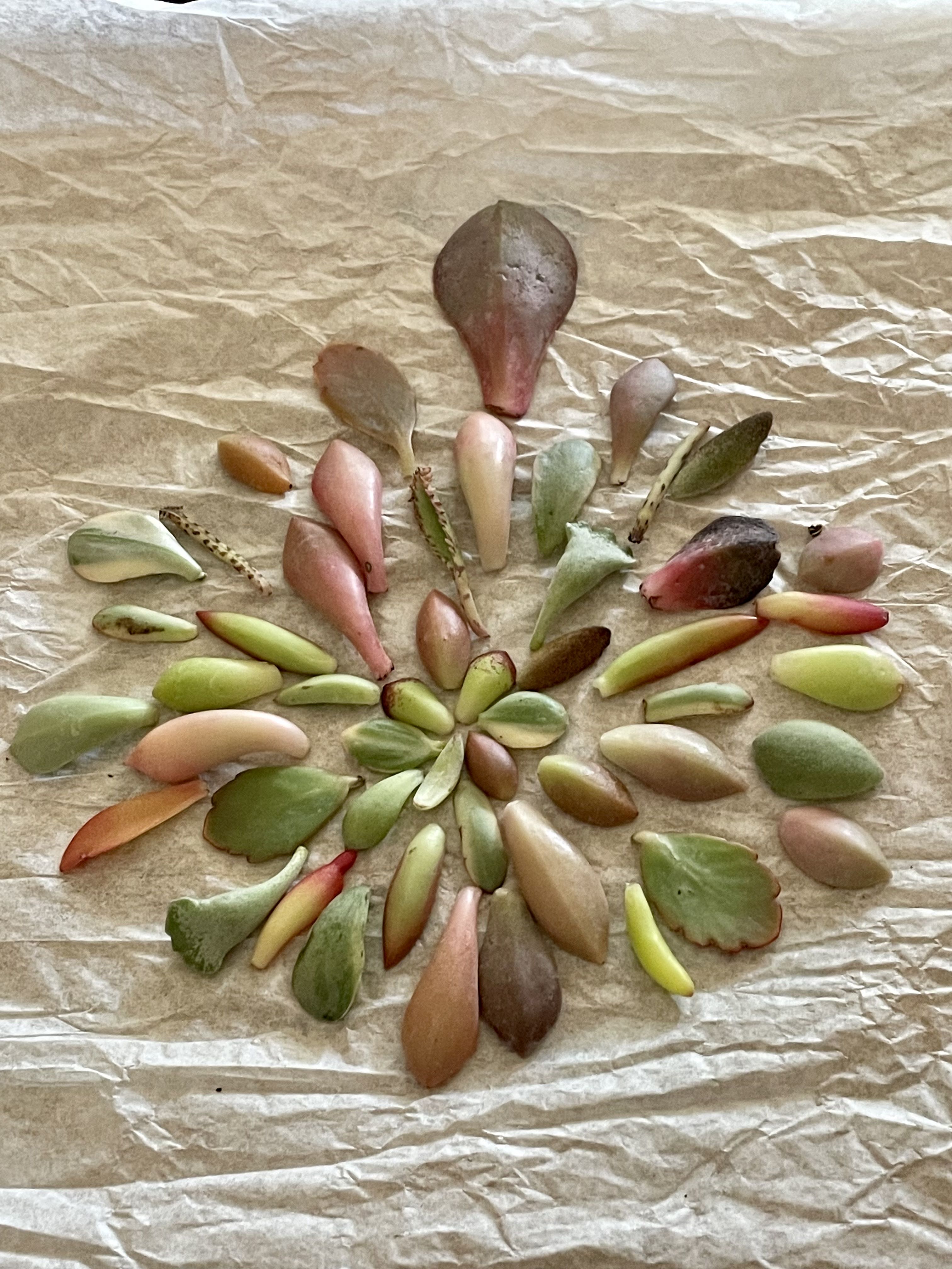 Photo from the post