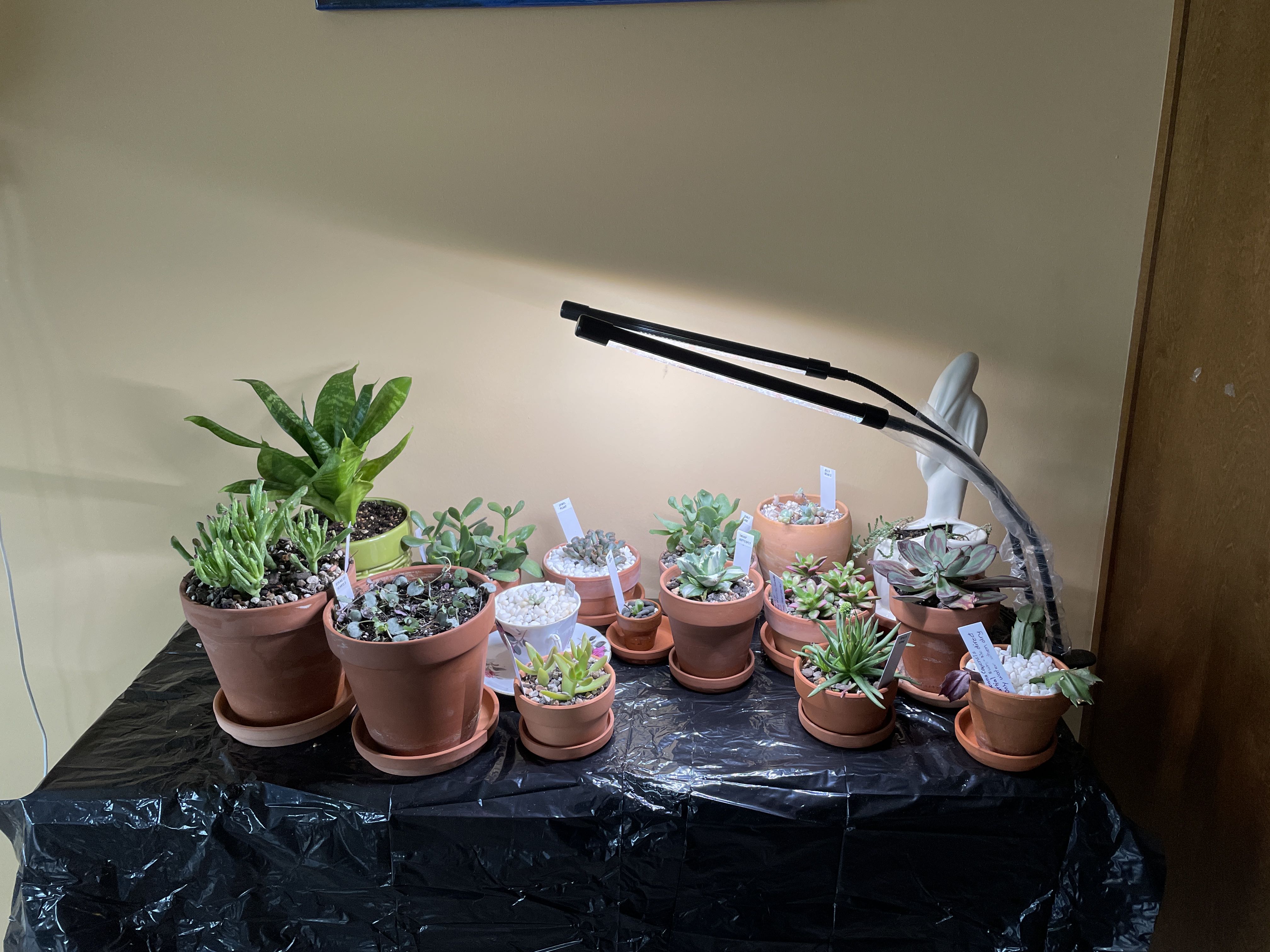 Photo from the post