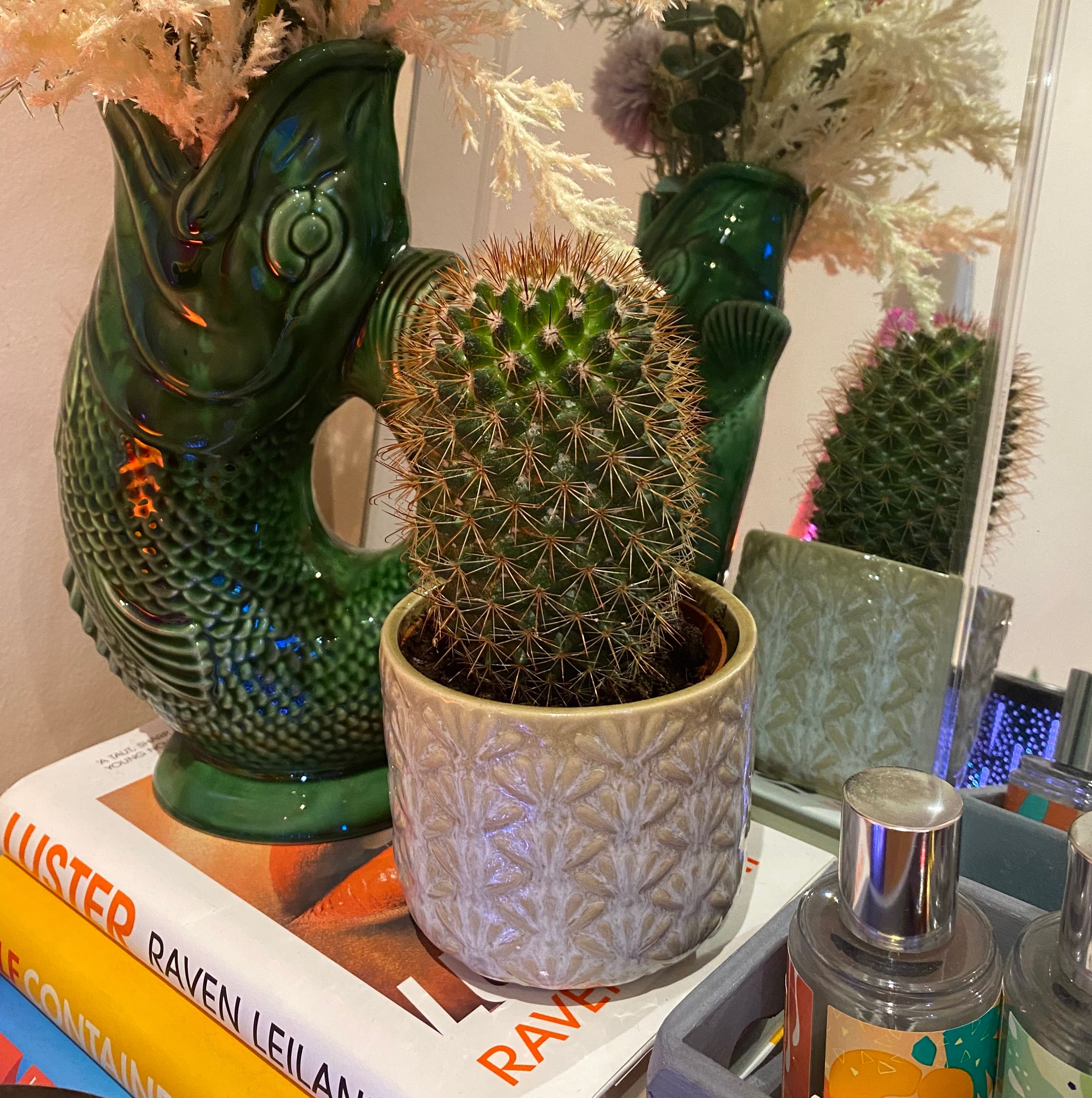 Candy barrel cactus in a decorative pot on a stack of books with a green fish-shaped vase in the background.