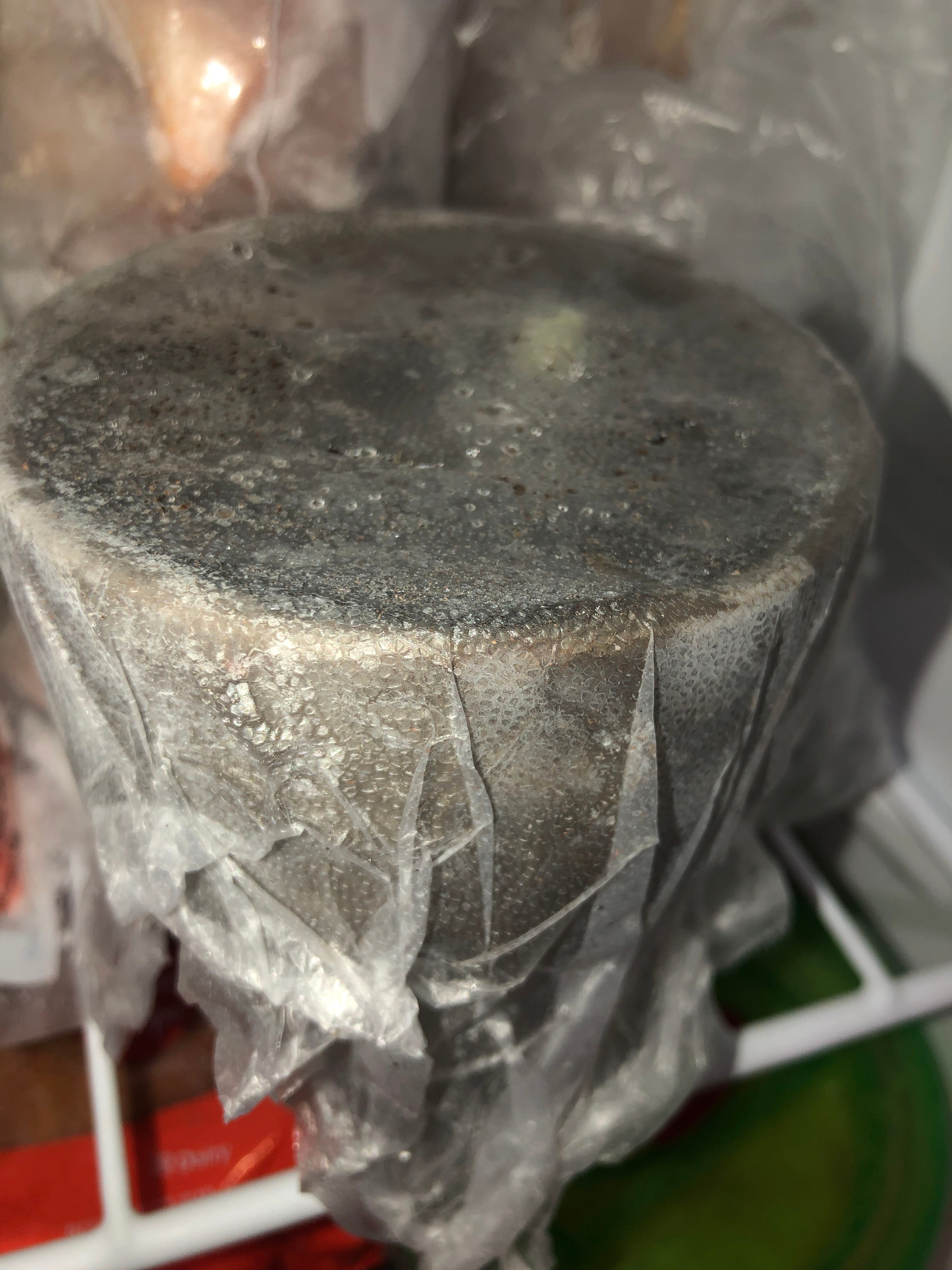 🌷 How to Cure Black Spots on Your Tulip 'Queen of the Night'