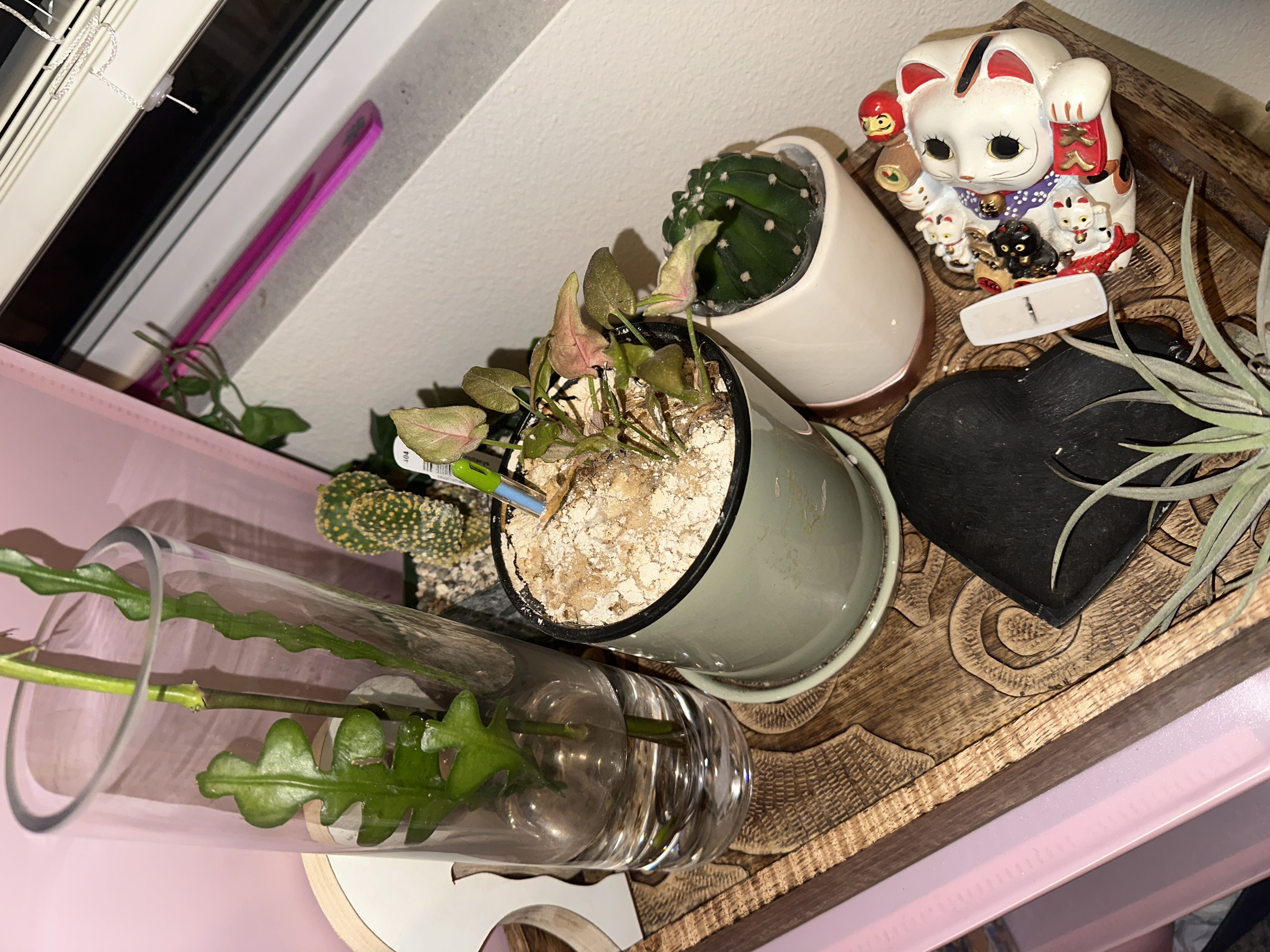 Photo from the post