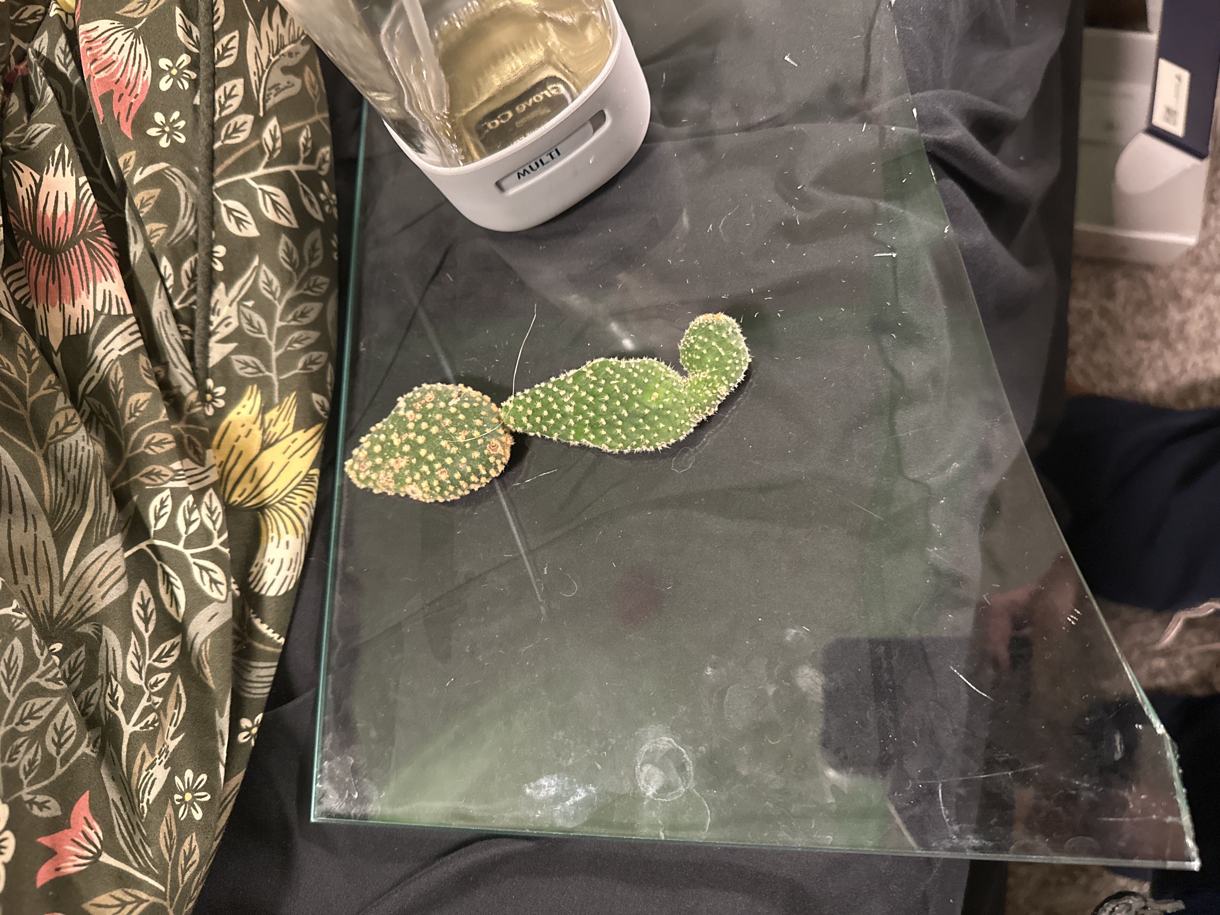 Photo from the post