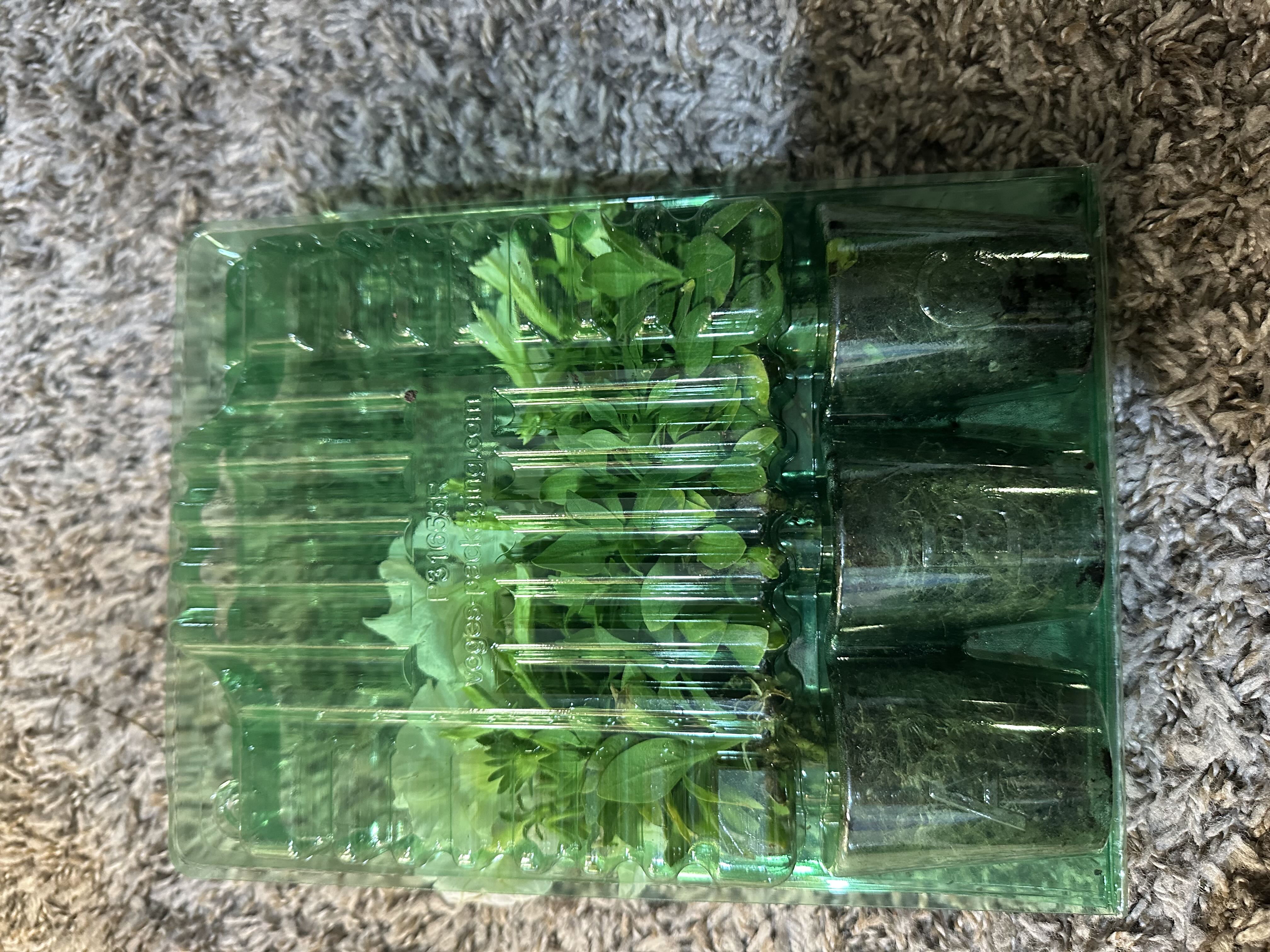 Photo from the post