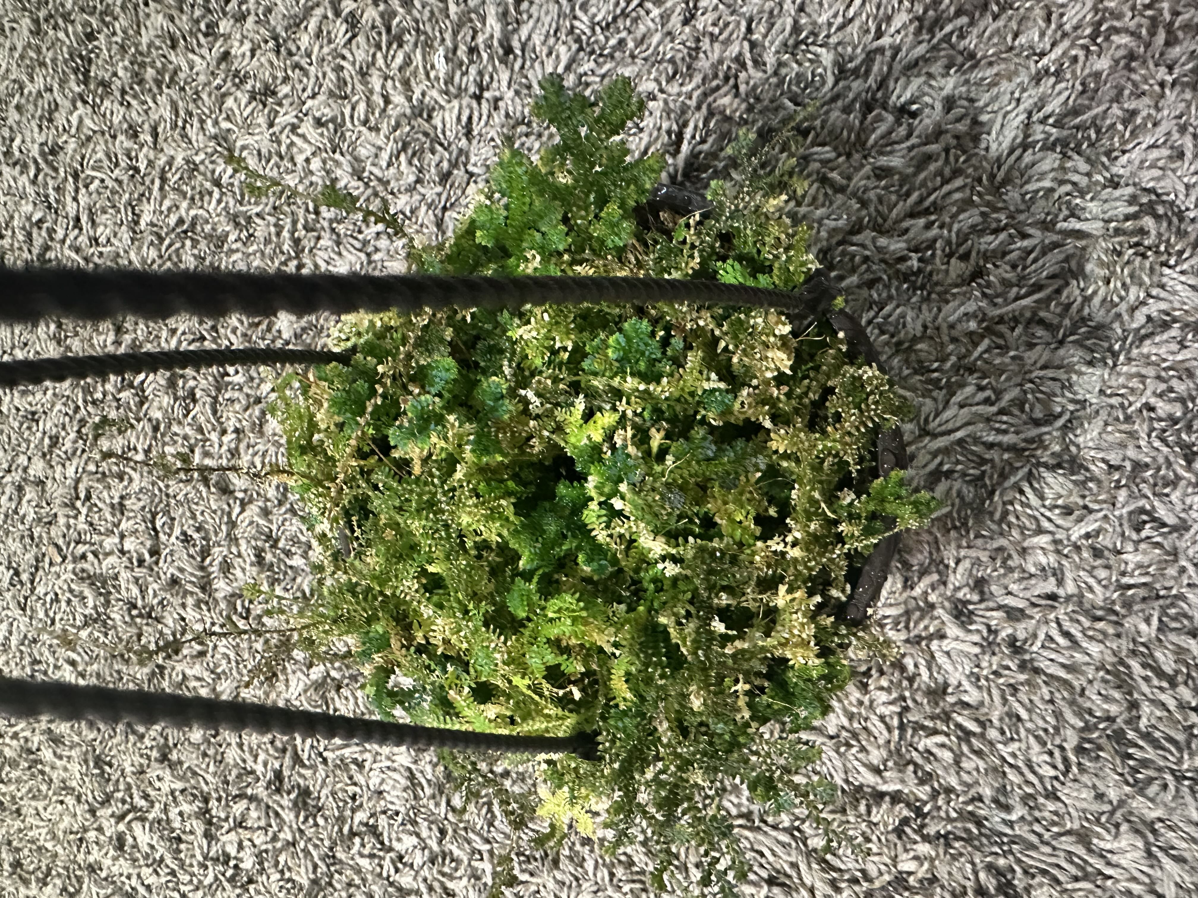 Photo from the post