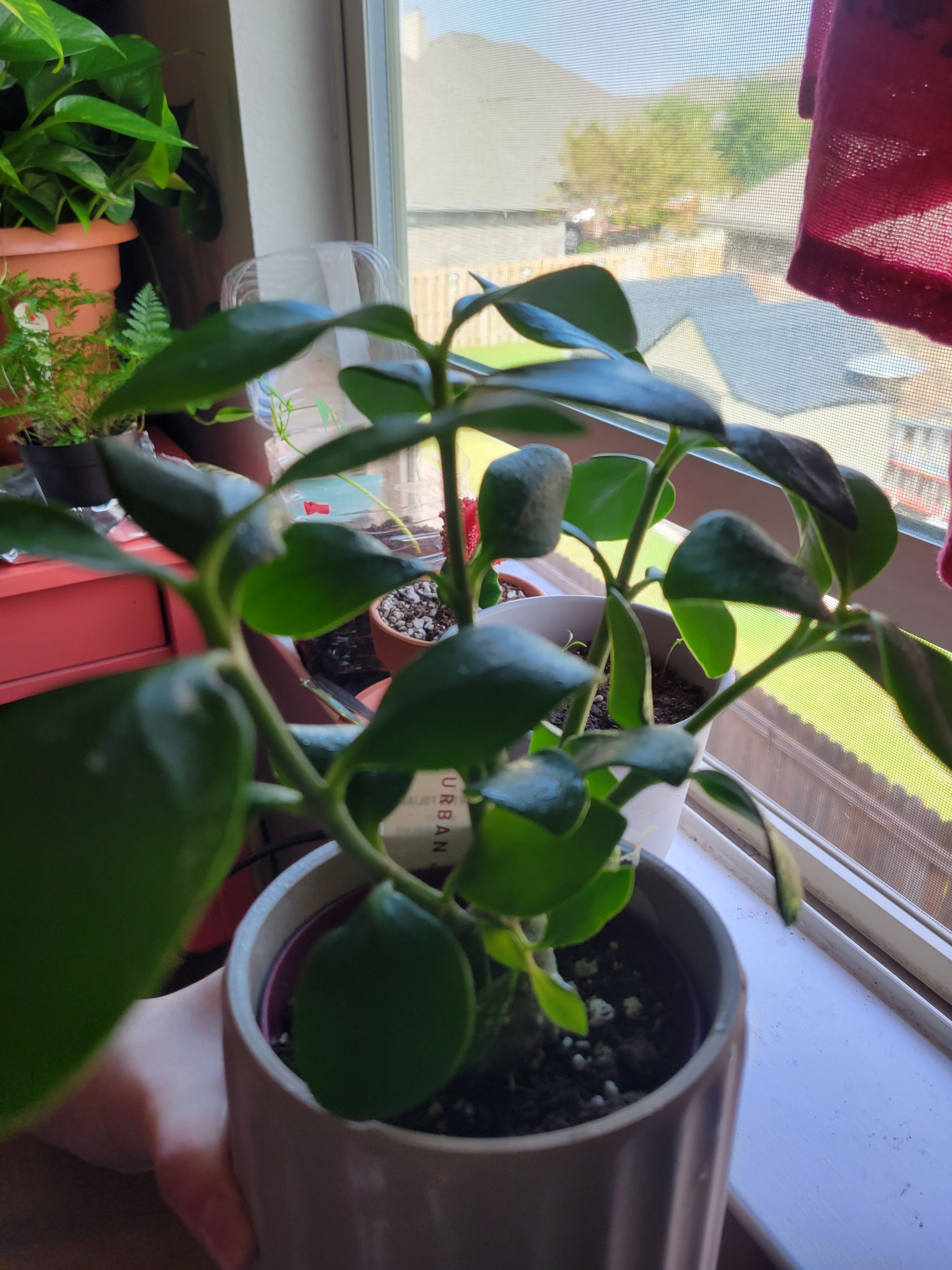 Photo from the post
