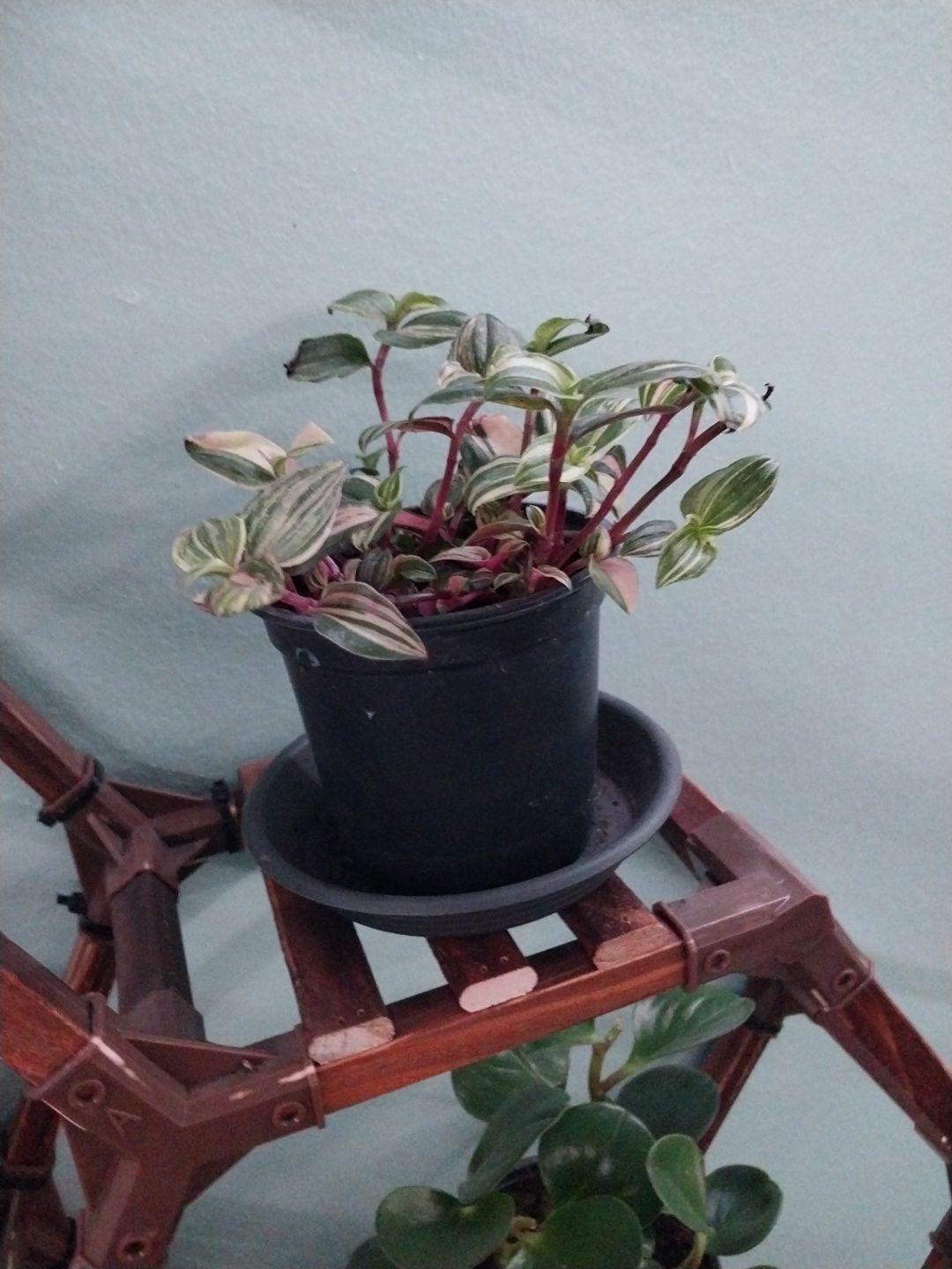 Photo from the post