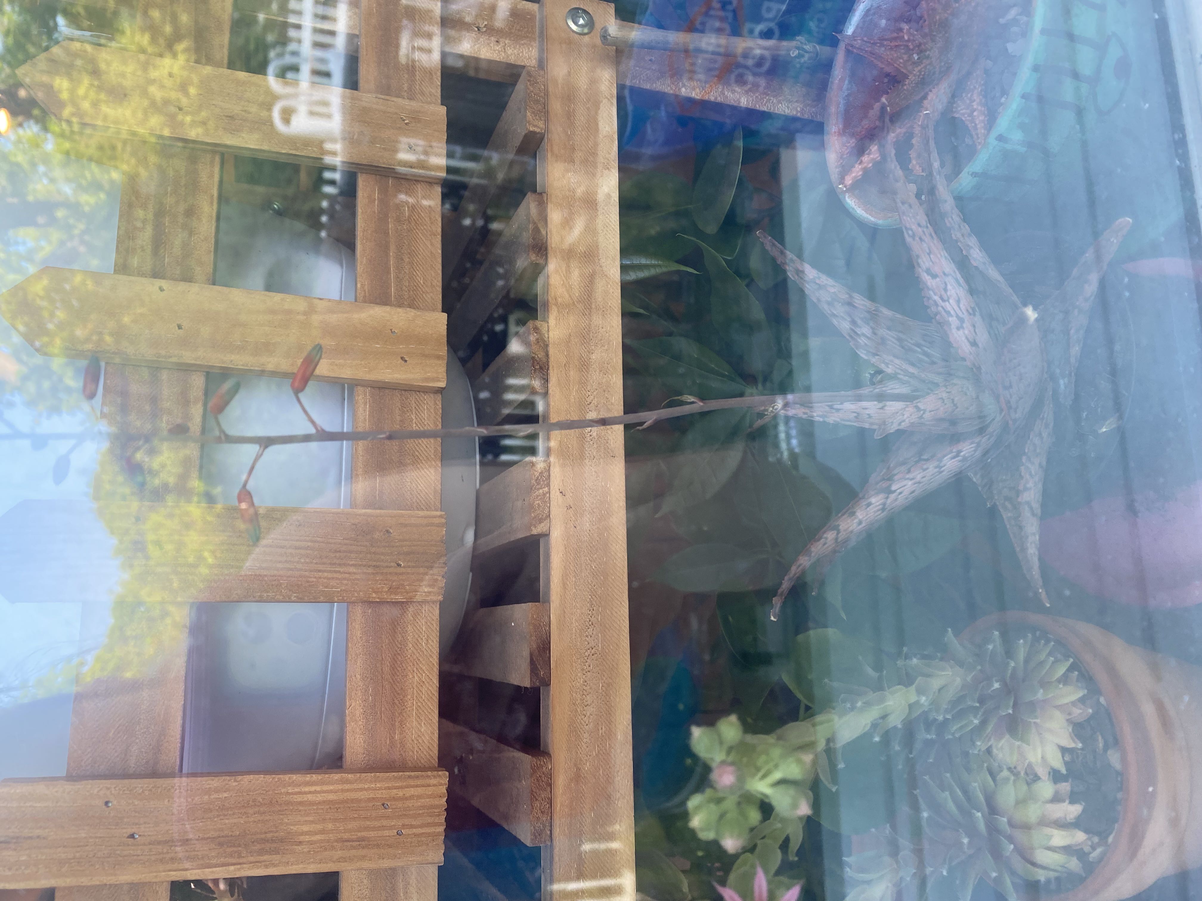 Photo from the post