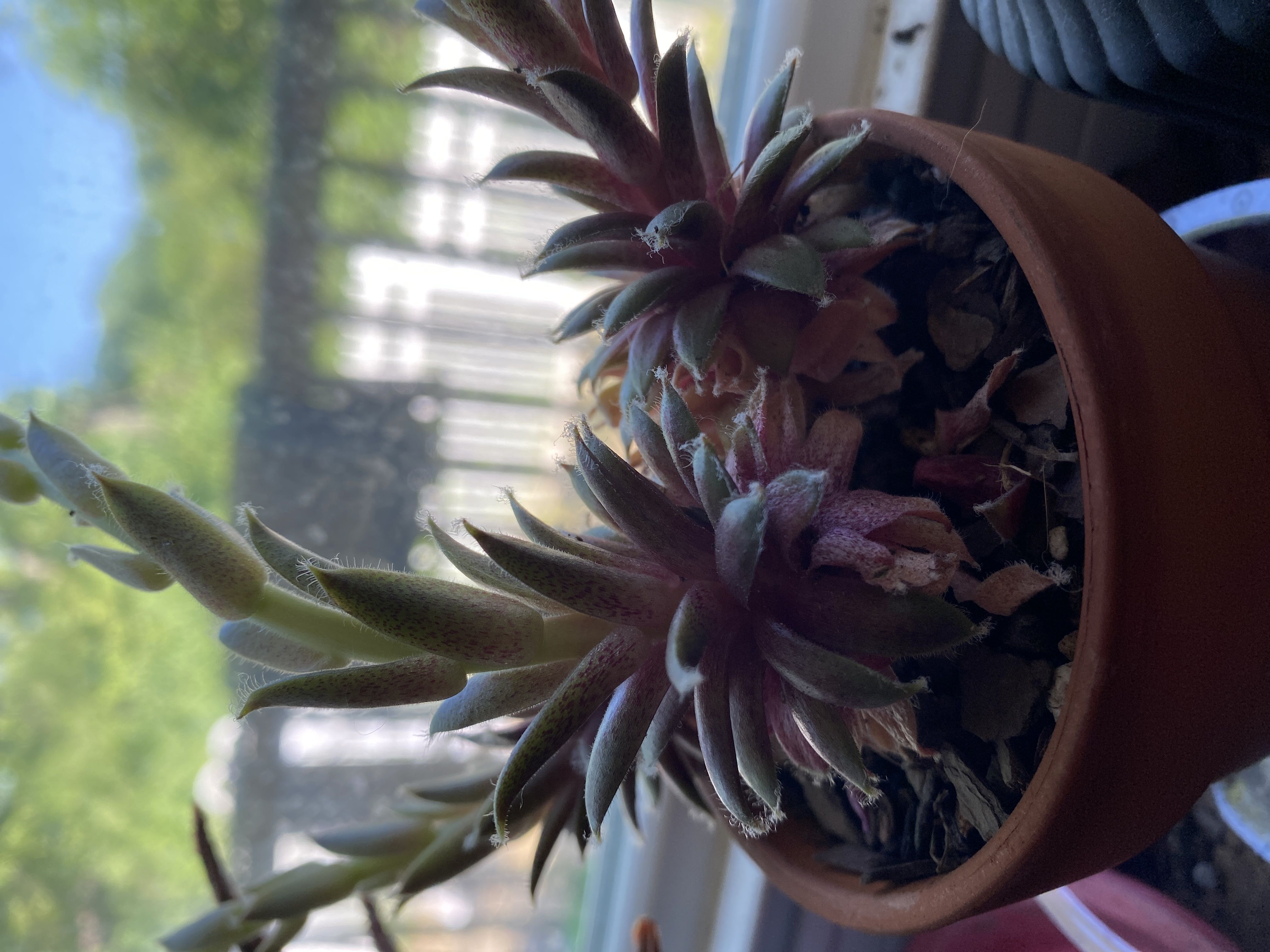 Photo from the post
