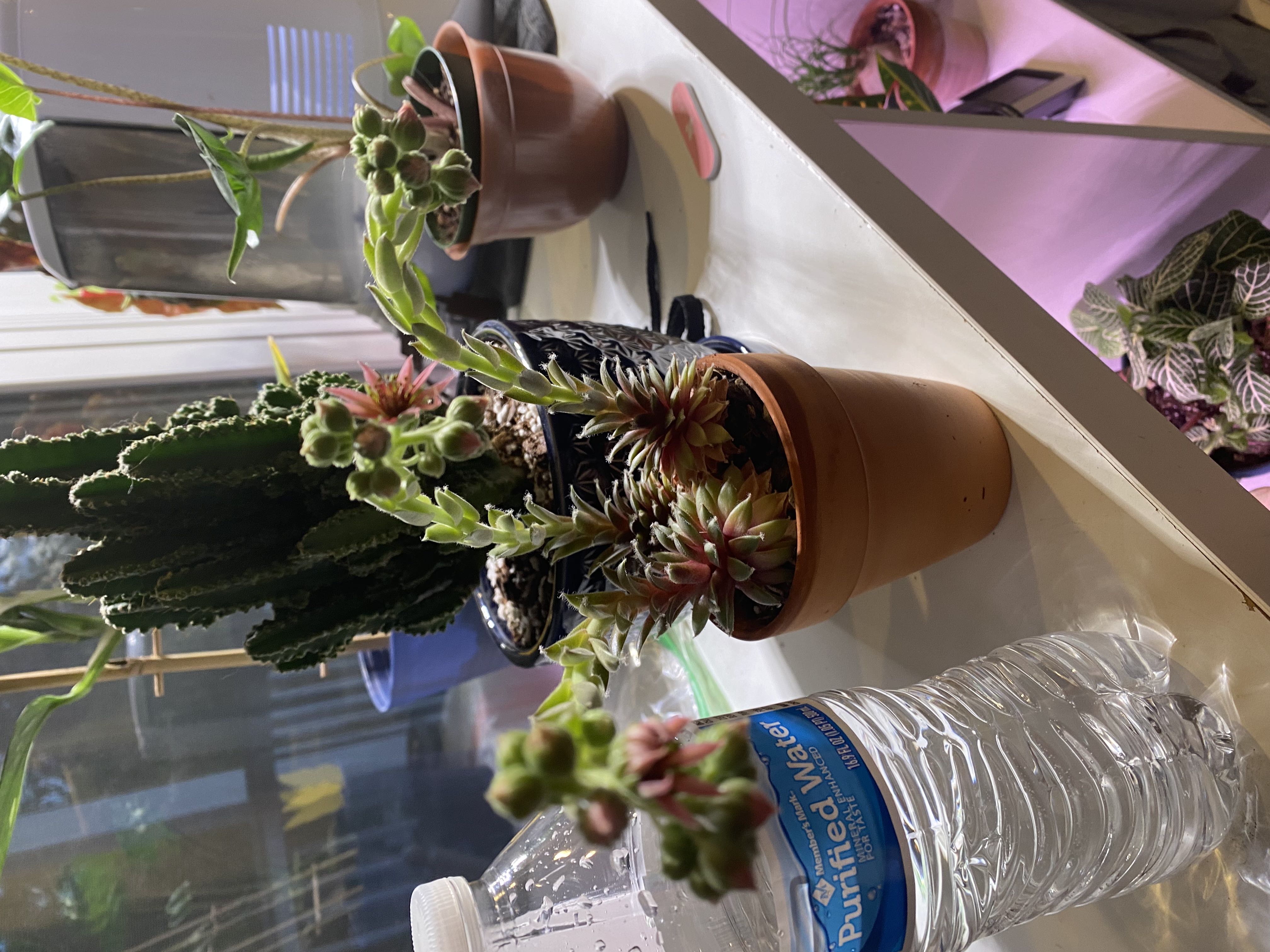 Photo from the post