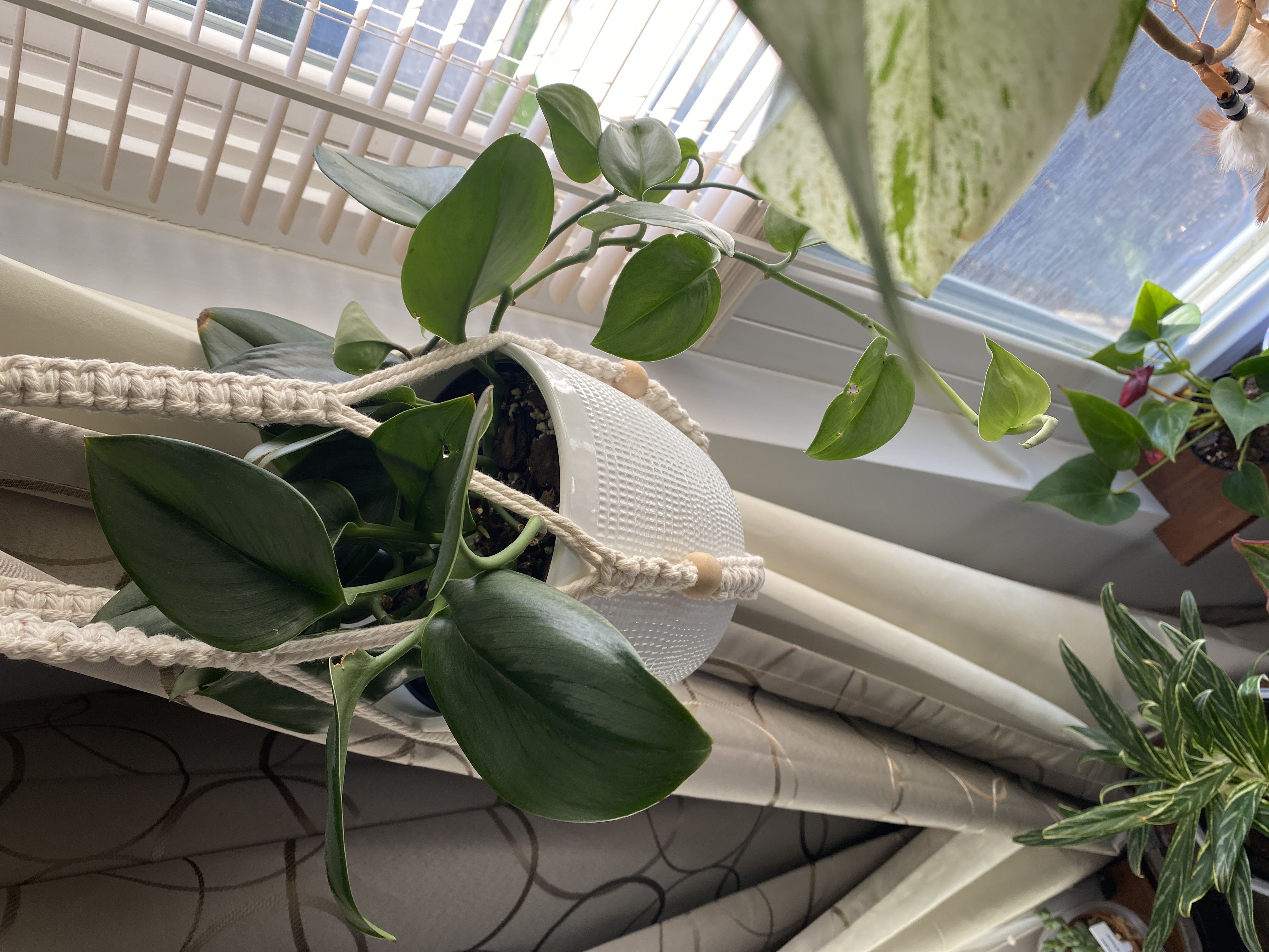 Photo from the post