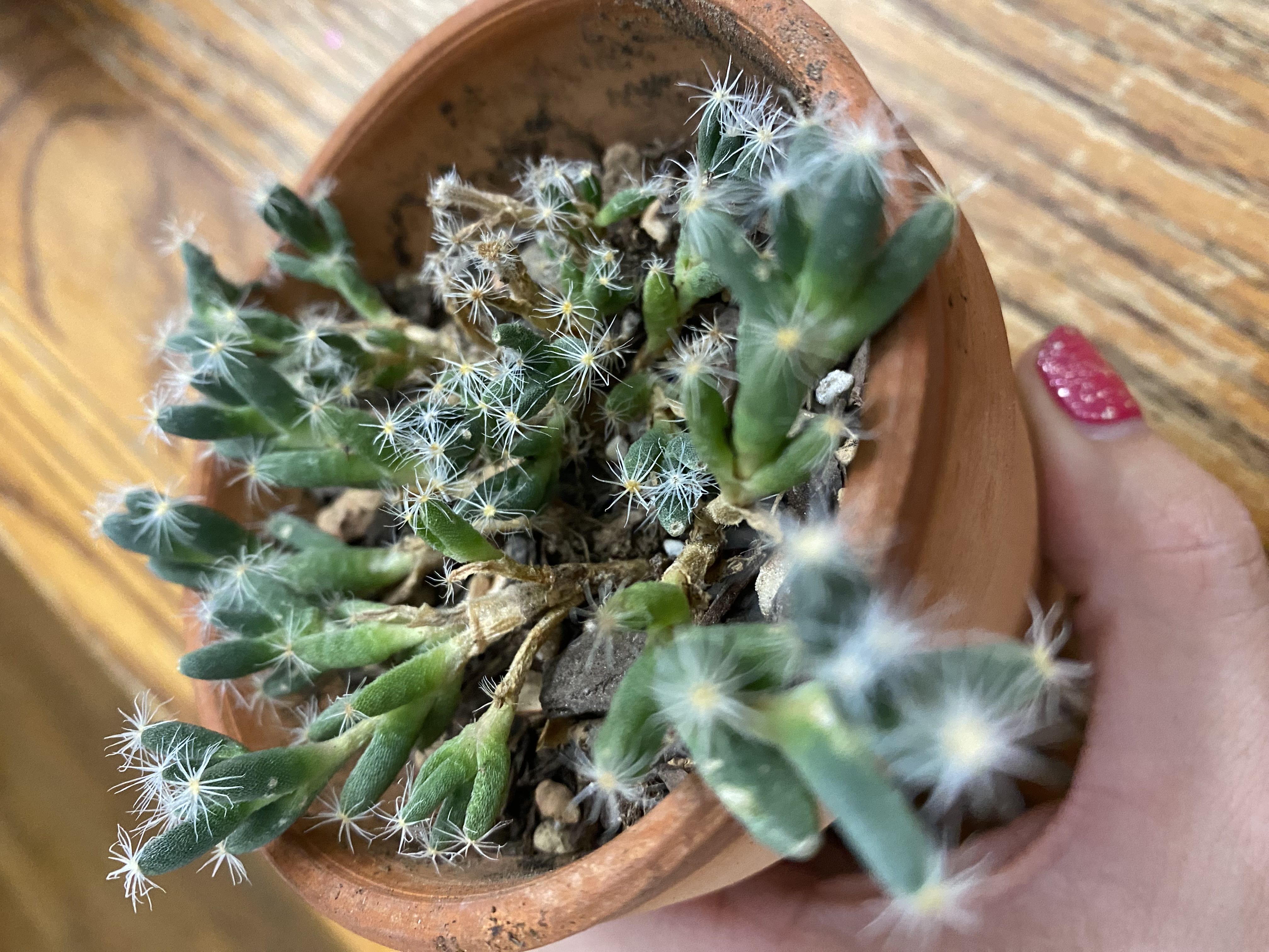 Photo from the post