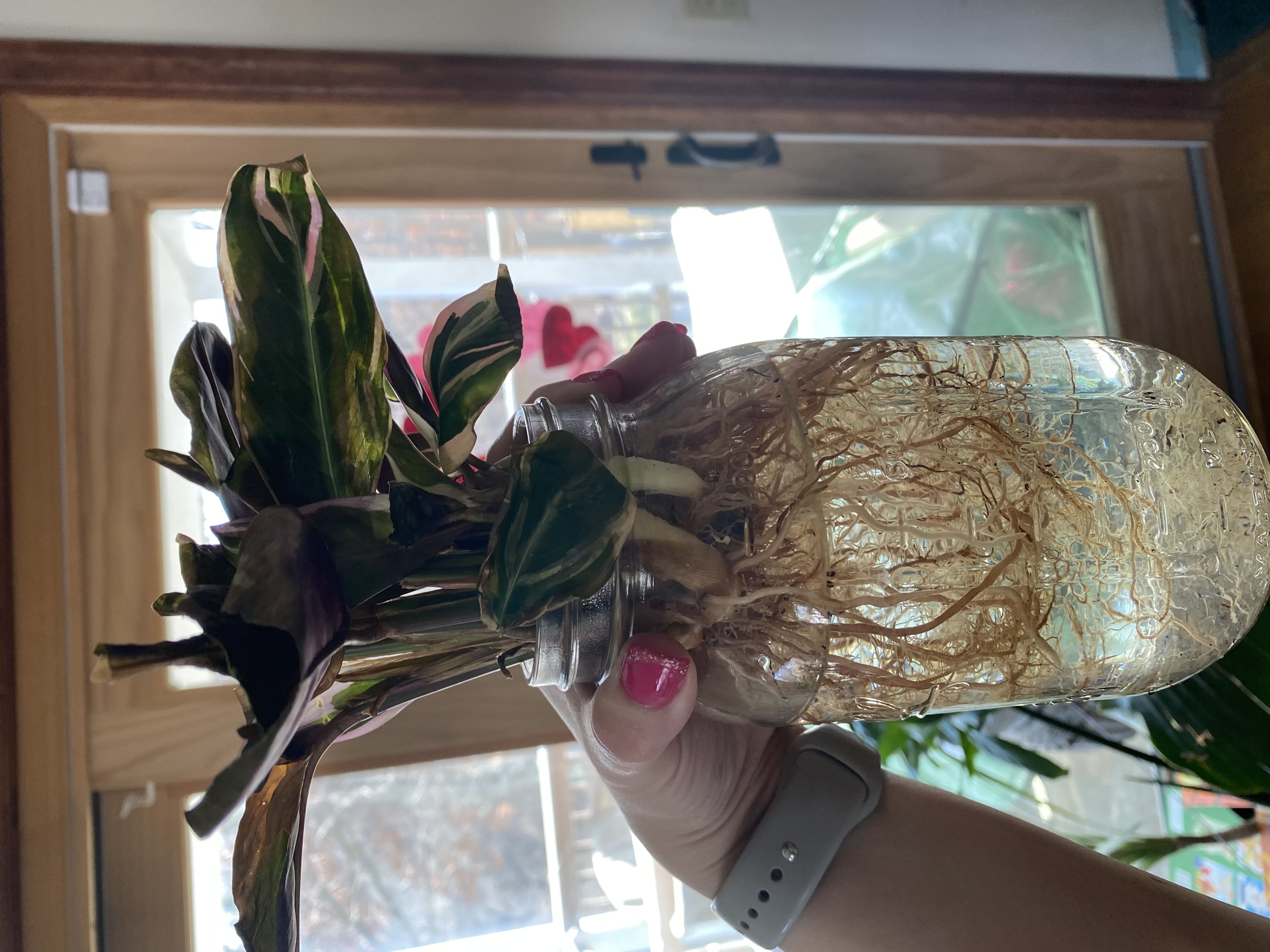 Photo from the post