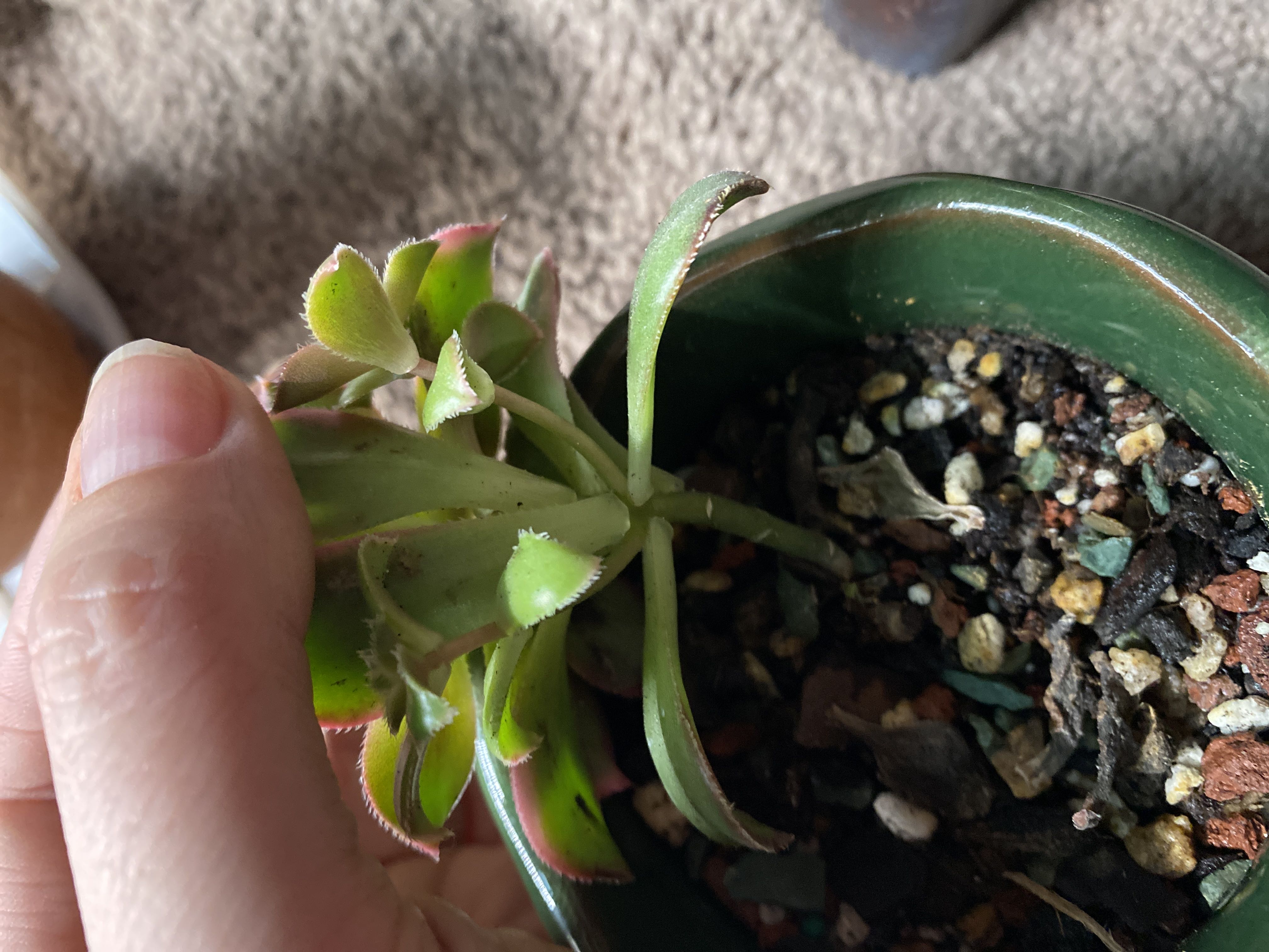 Photo from the post