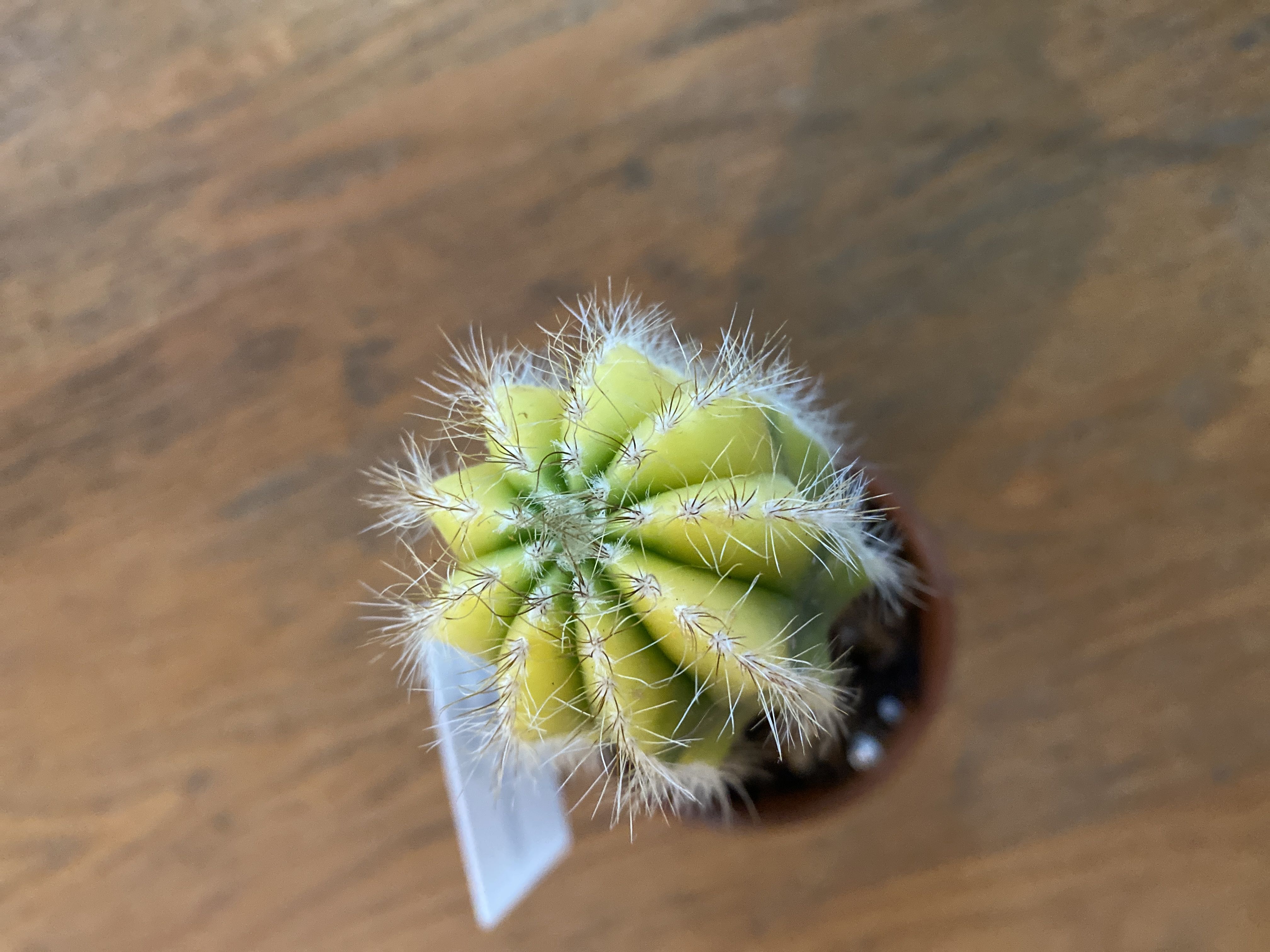 Photo from the post