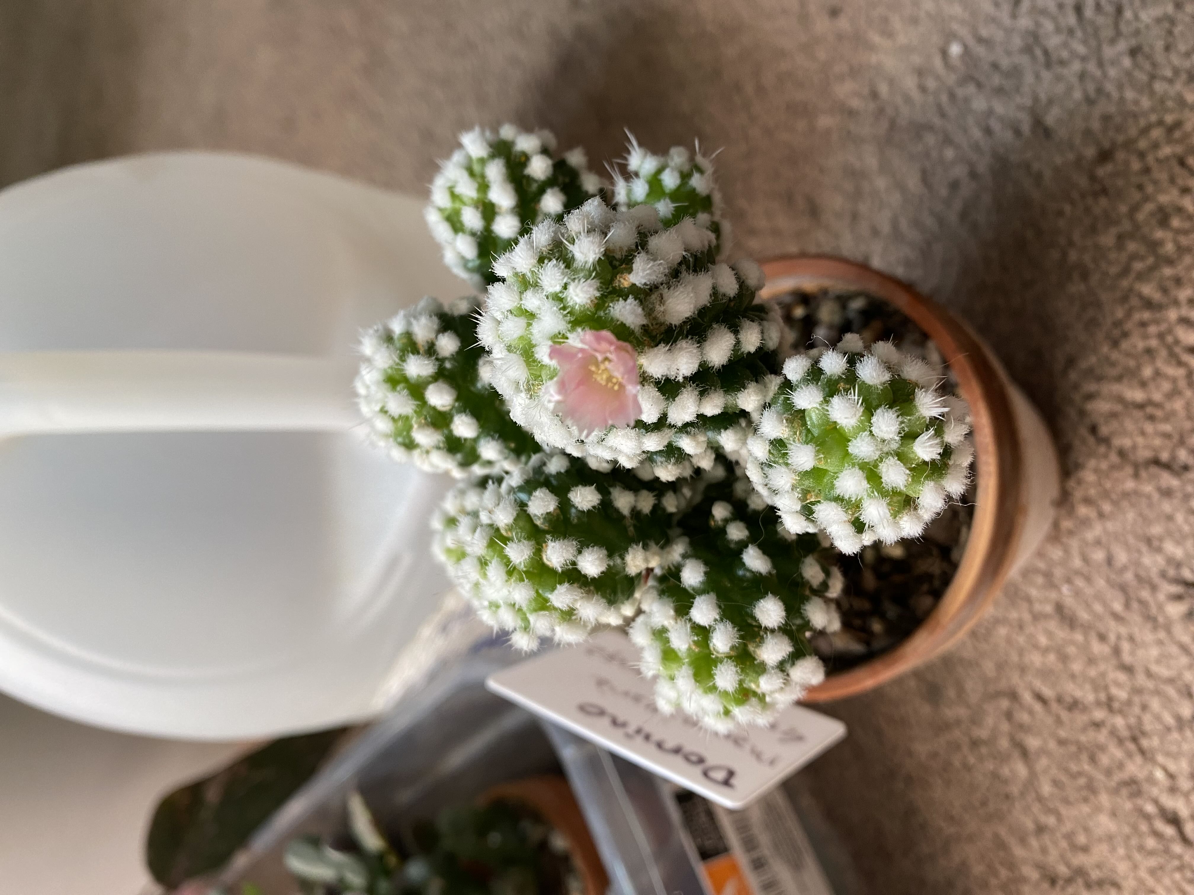 Photo from the post