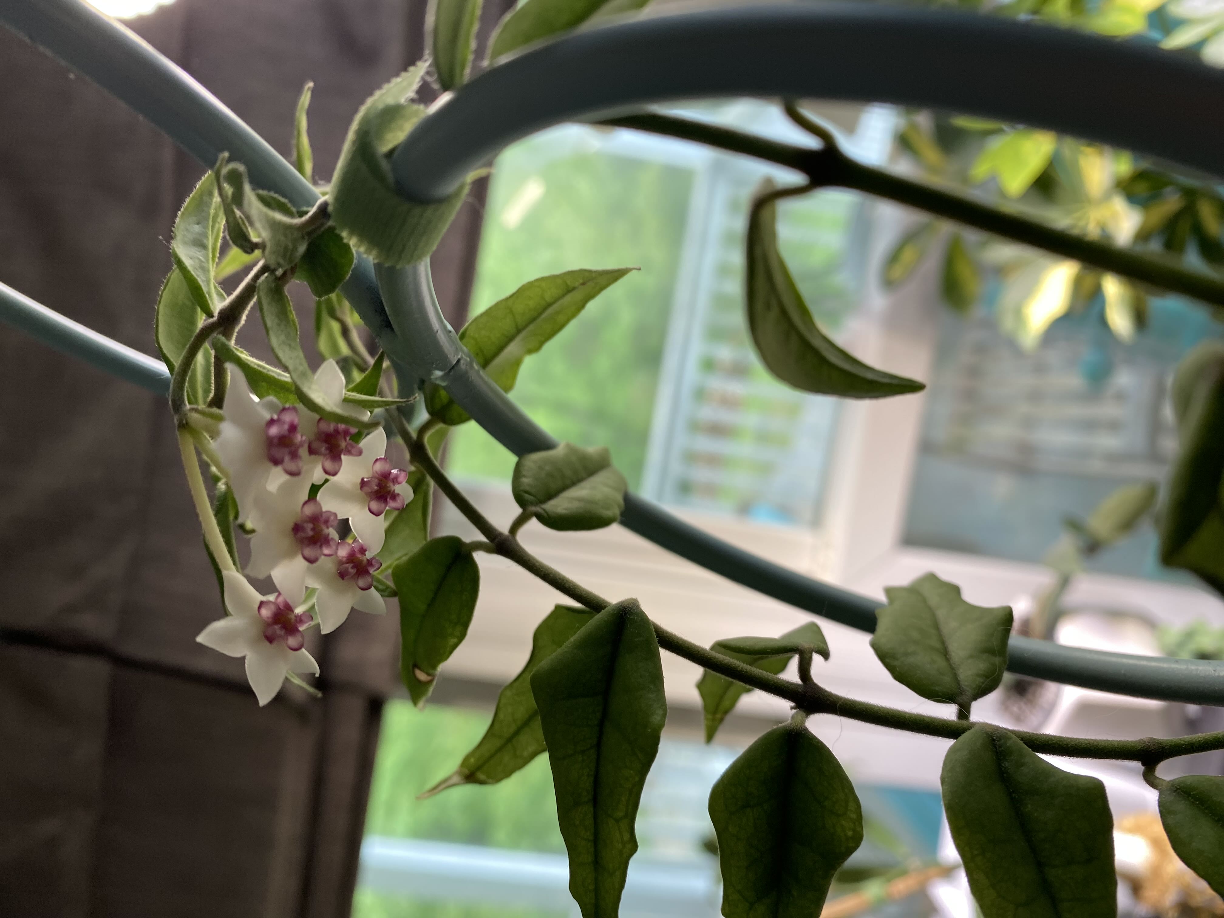 Photo from the post