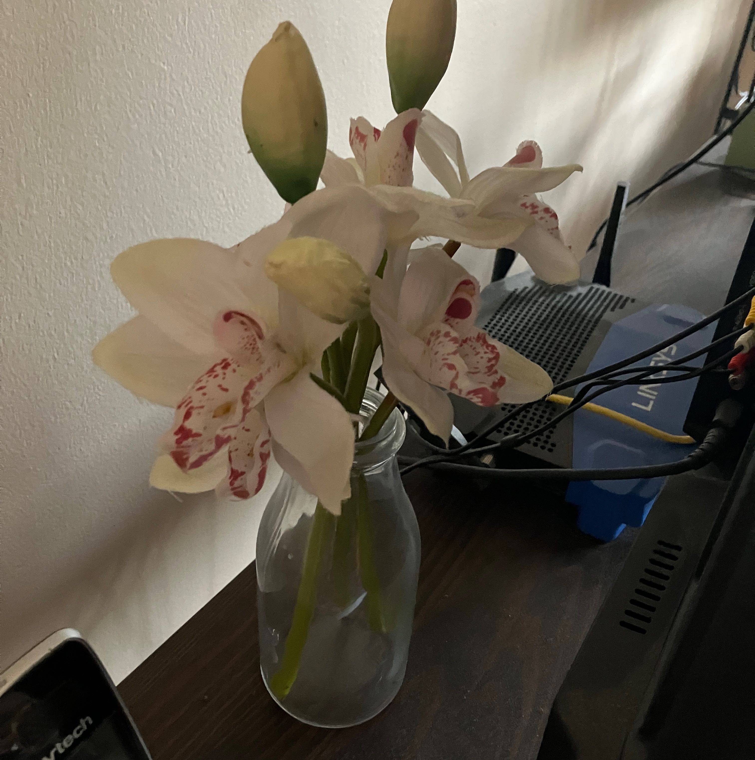 Photo of the plant species Heath Spotted Orchid by @ProperQuince named Your plant on Greg, the plant care app