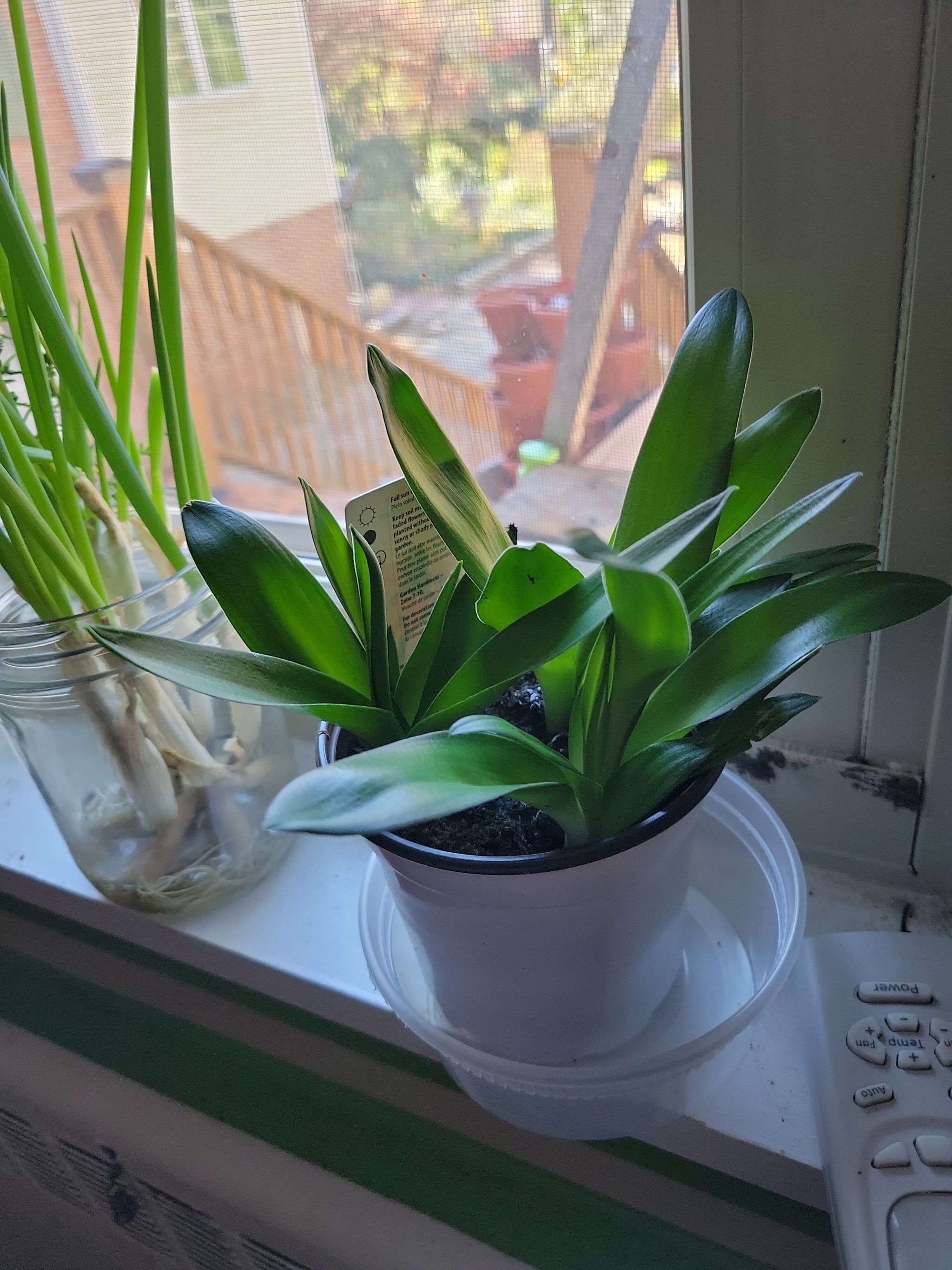 Photo from the post