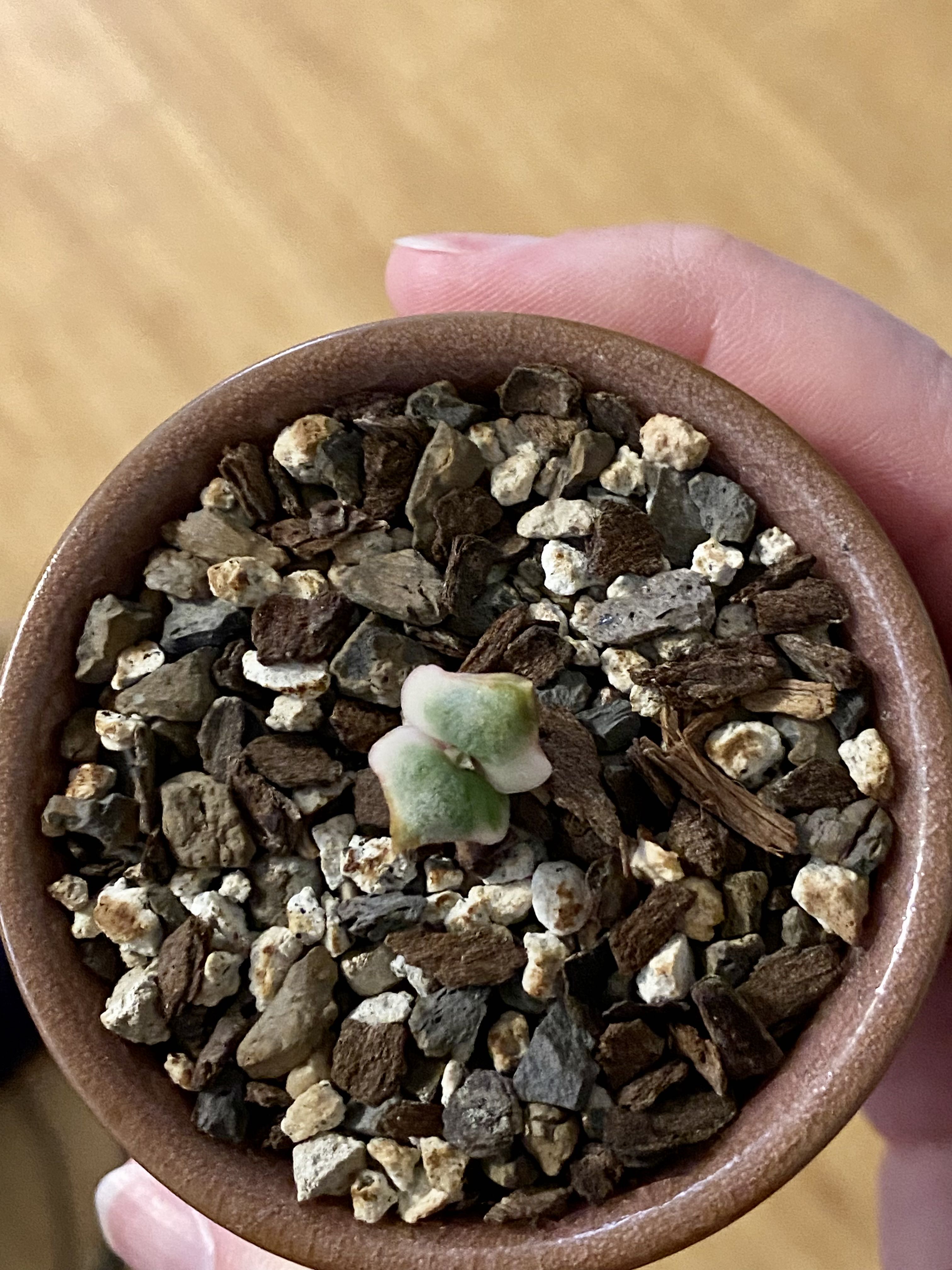 Photo from the post