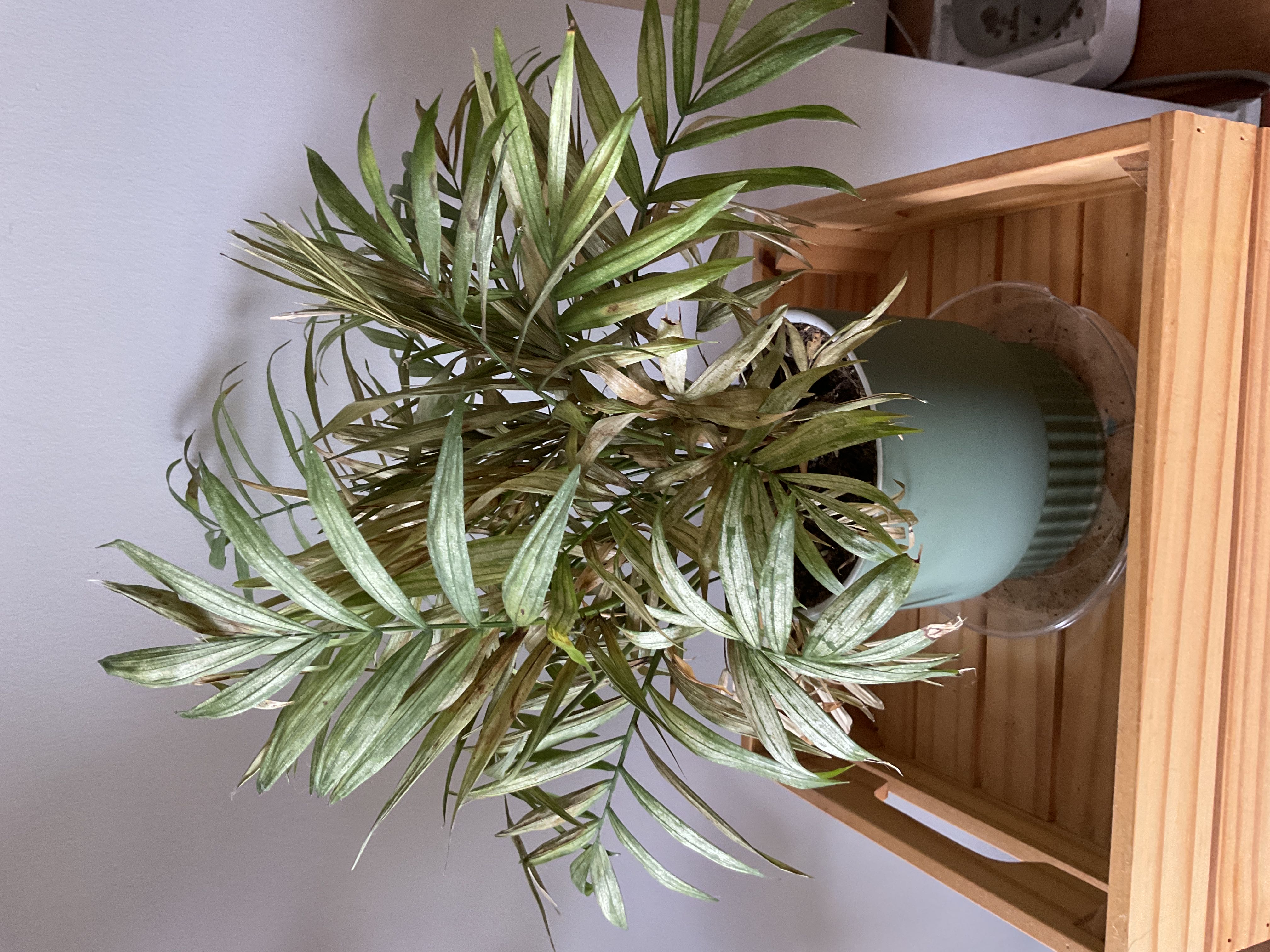 Photo from the post