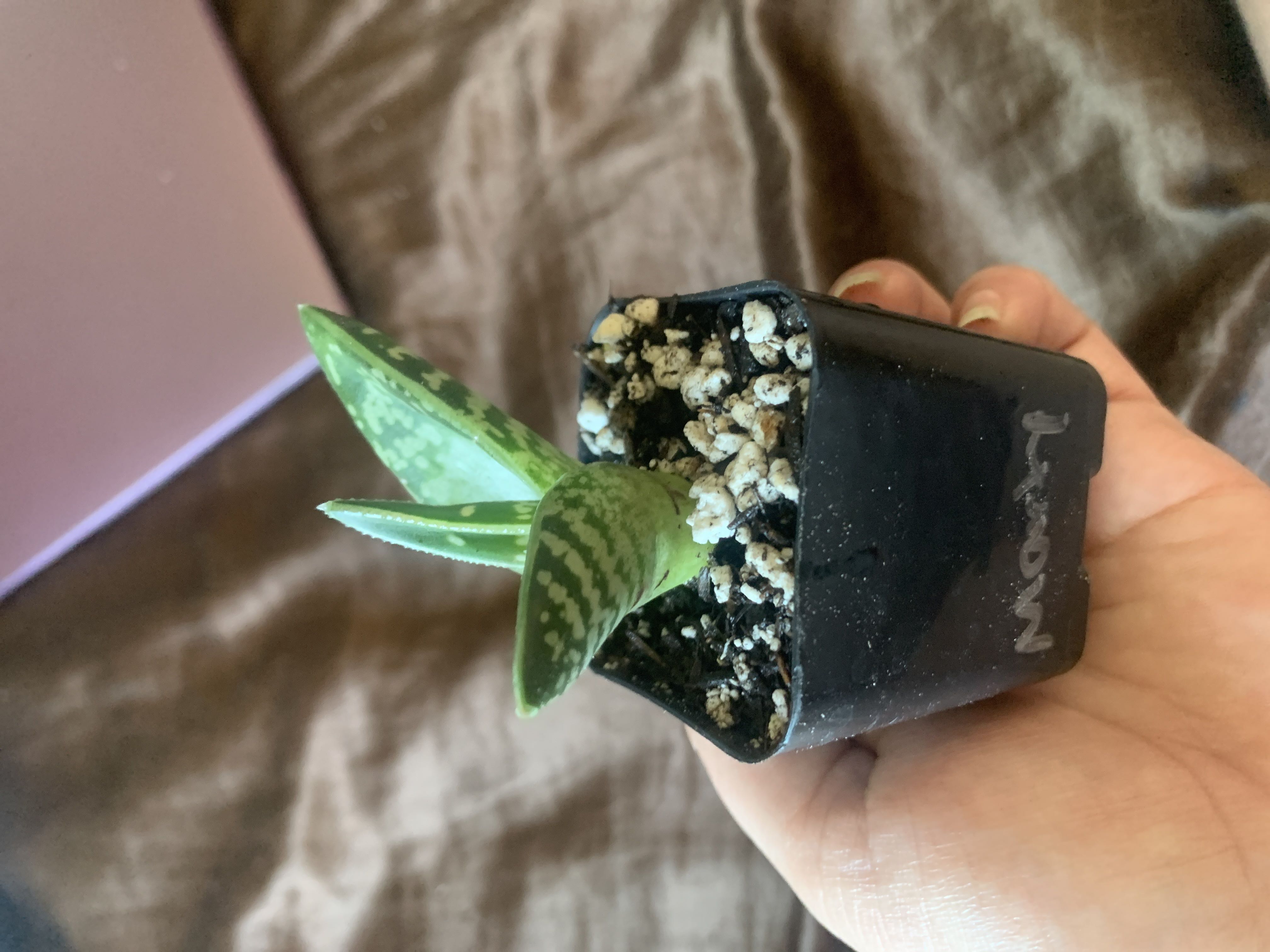 Photo from the post