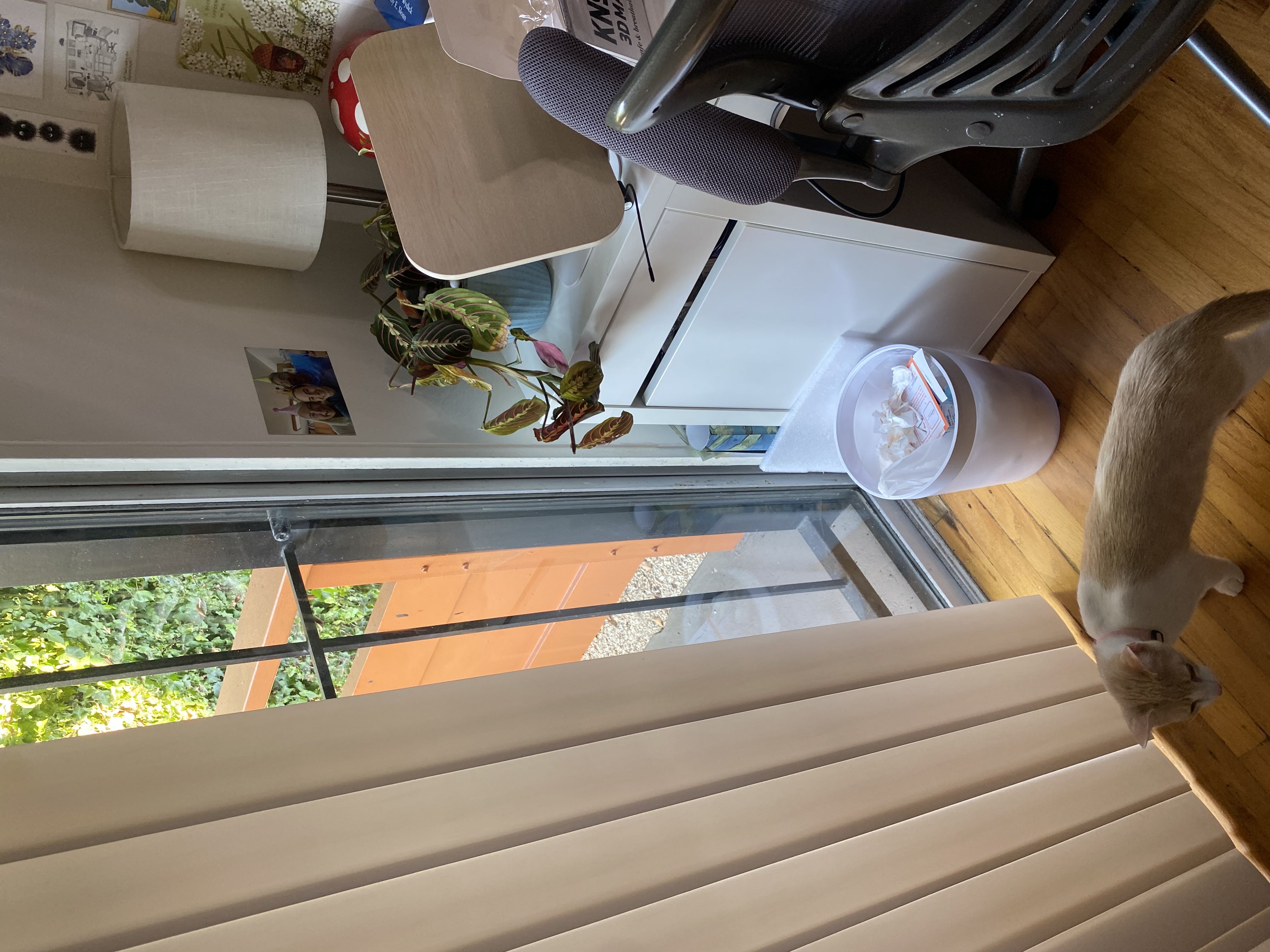 Photo from the post