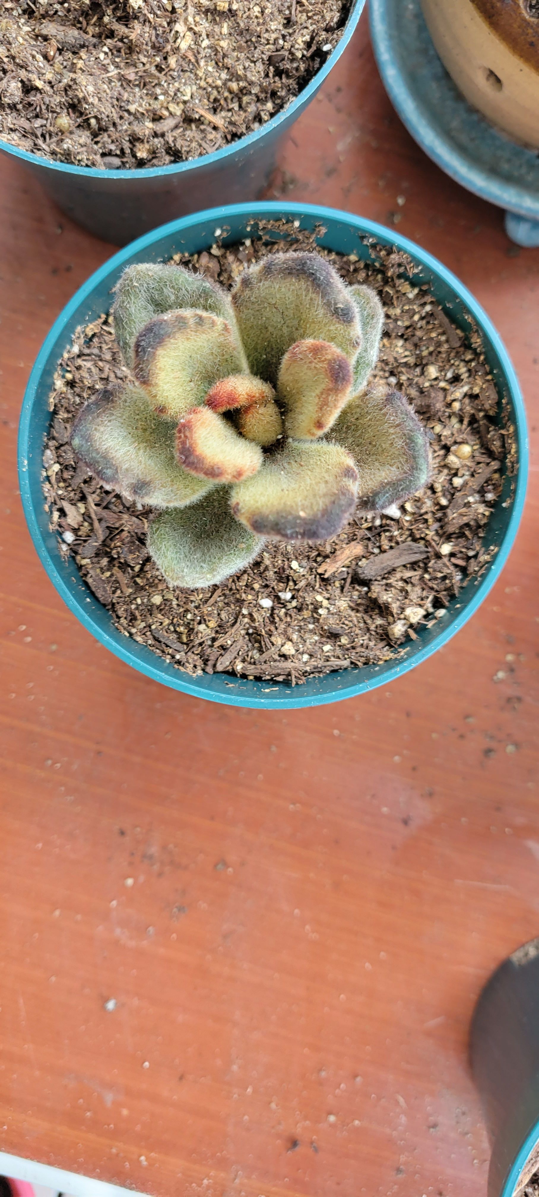 Photo from the post